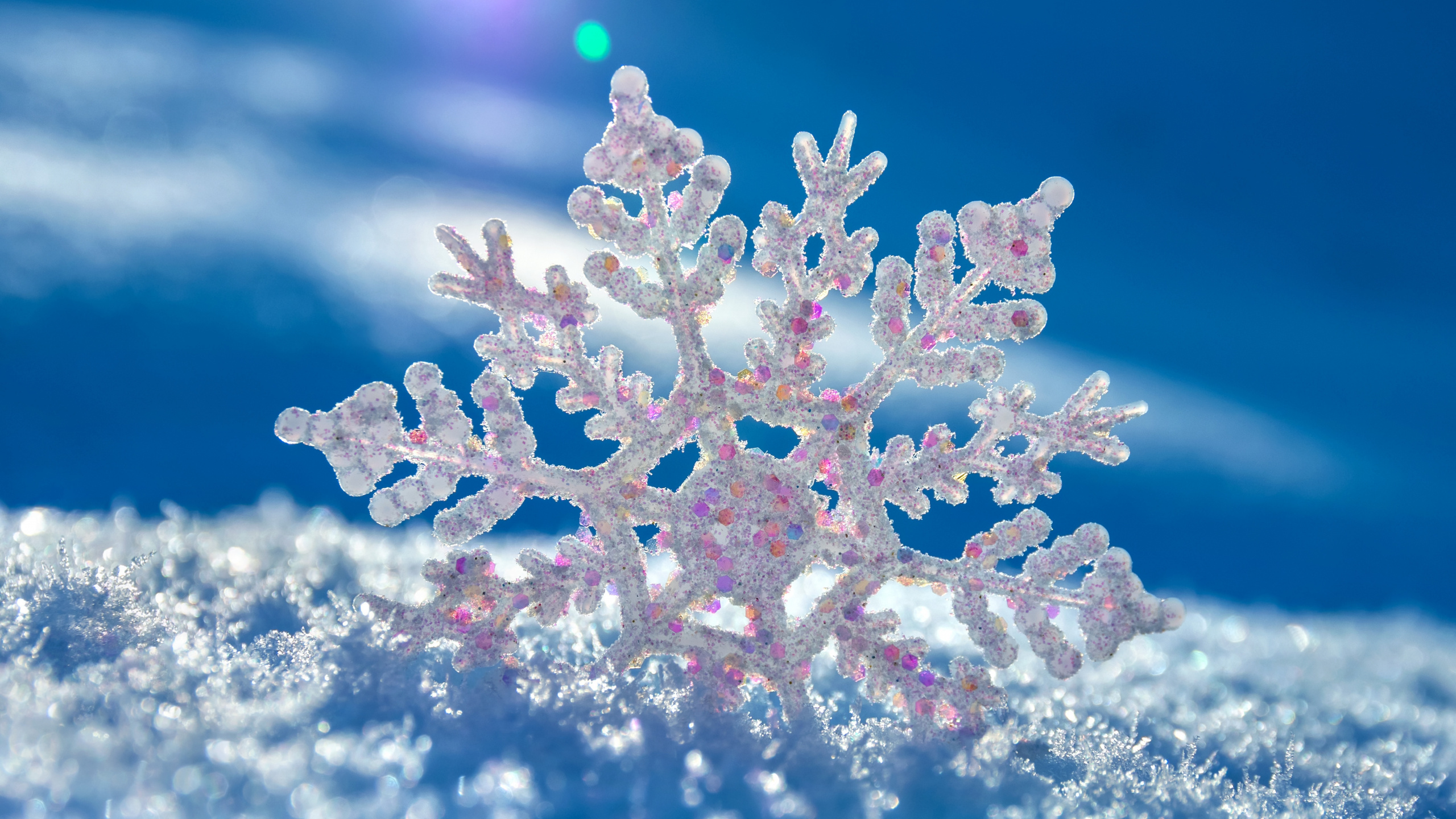 Weiße Und Rosa Blume in Nahaufnahmen Close. Wallpaper in 2560x1440 Resolution