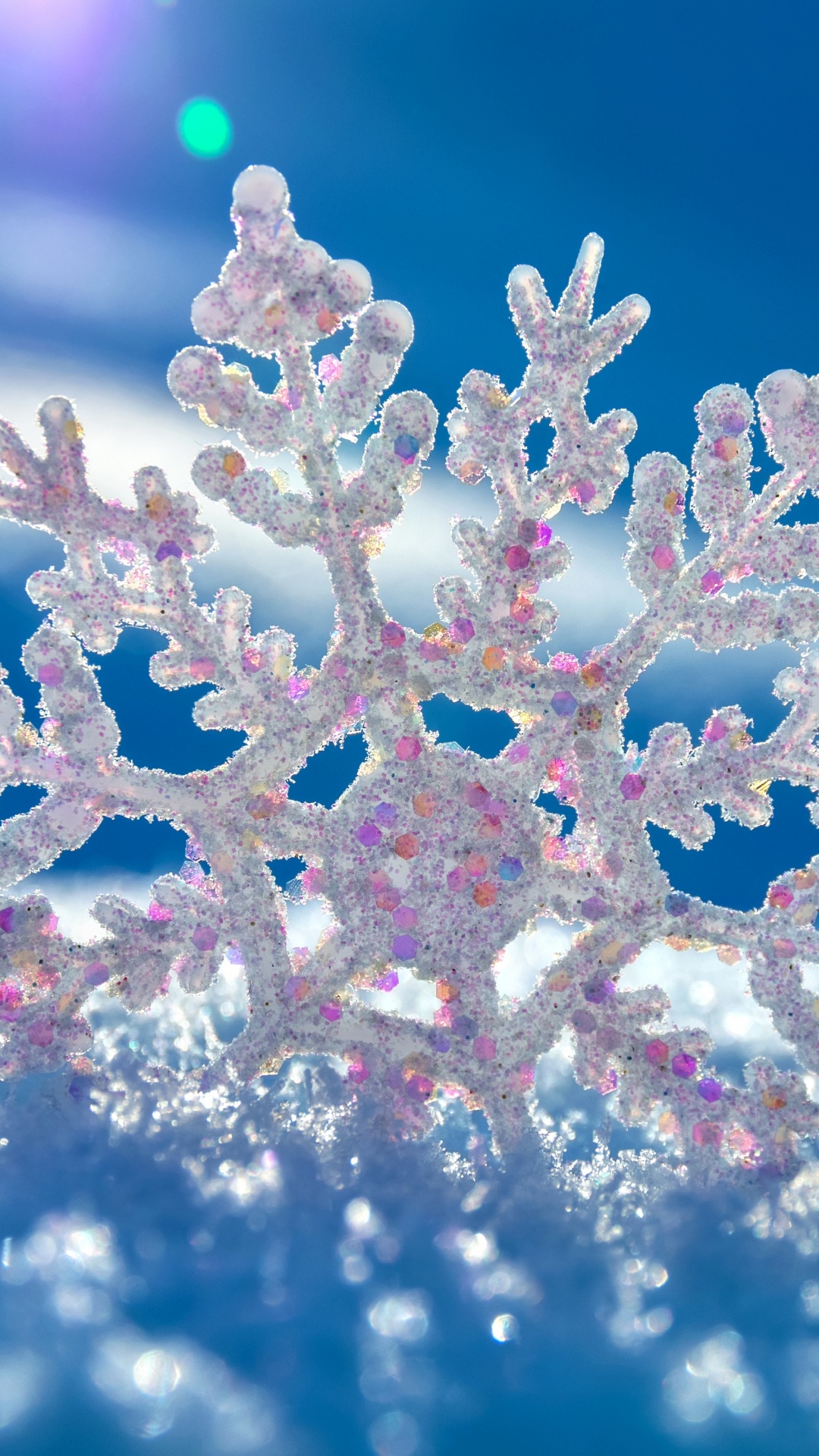 Flor Blanca y Rosa en Fotografía de Cerca. Wallpaper in 1080x1920 Resolution