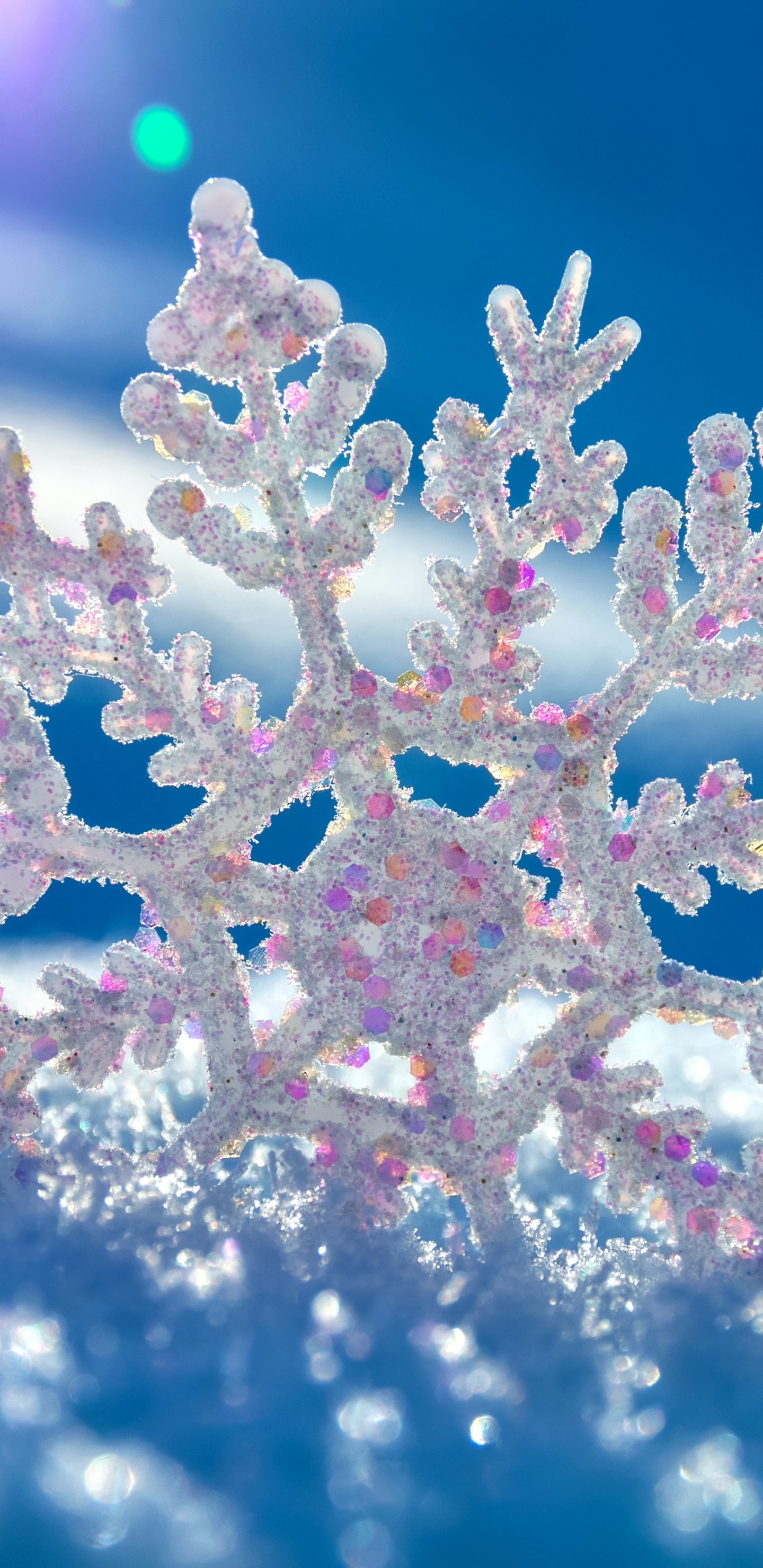 Flor Blanca y Rosa en Fotografía de Cerca. Wallpaper in 1440x2960 Resolution