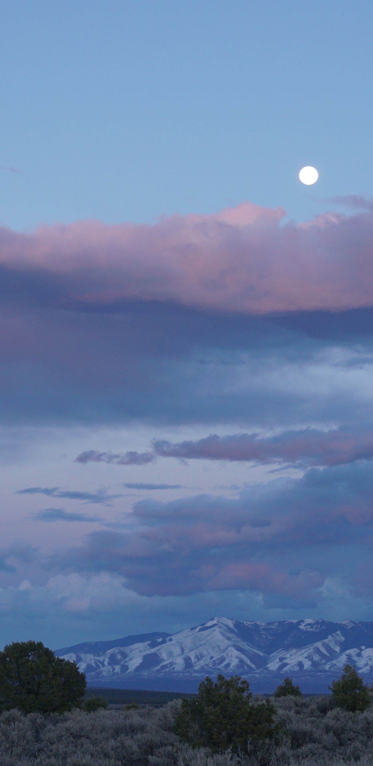 Puesta, Azul, Highland, Noche, Ambiente. Wallpaper in 1440x2960 Resolution