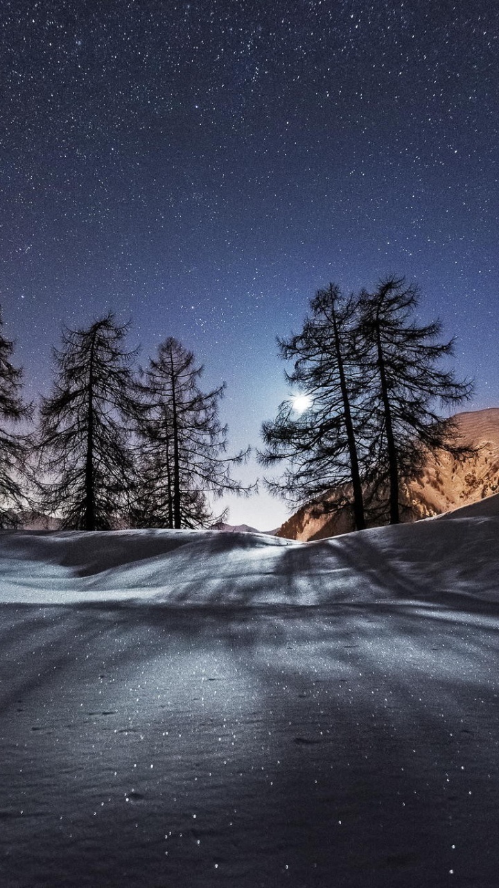 Route Couverte de Neige Près Des Arbres Pendant la Nuit. Wallpaper in 720x1280 Resolution
