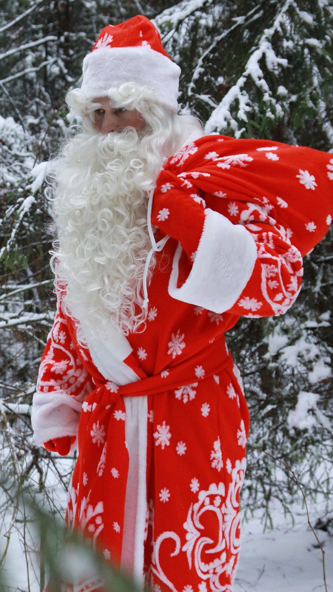 Ded Moroz, Santa Claus, Grandfather, Snow, Winter. Wallpaper in 1080x1920 Resolution