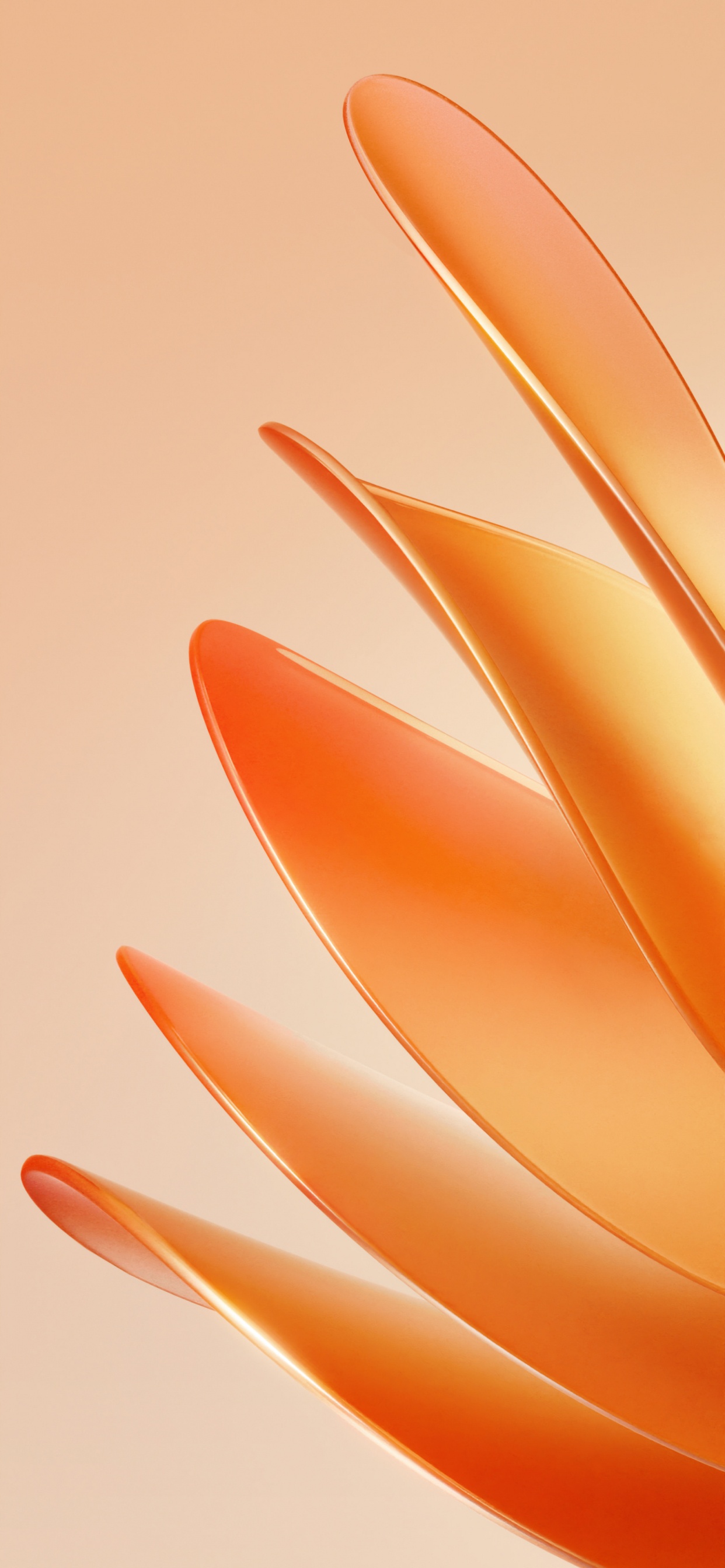 Meizu, Huawei, Smartphone, Huawei P50. Wallpaper in 1242x2688 Resolution