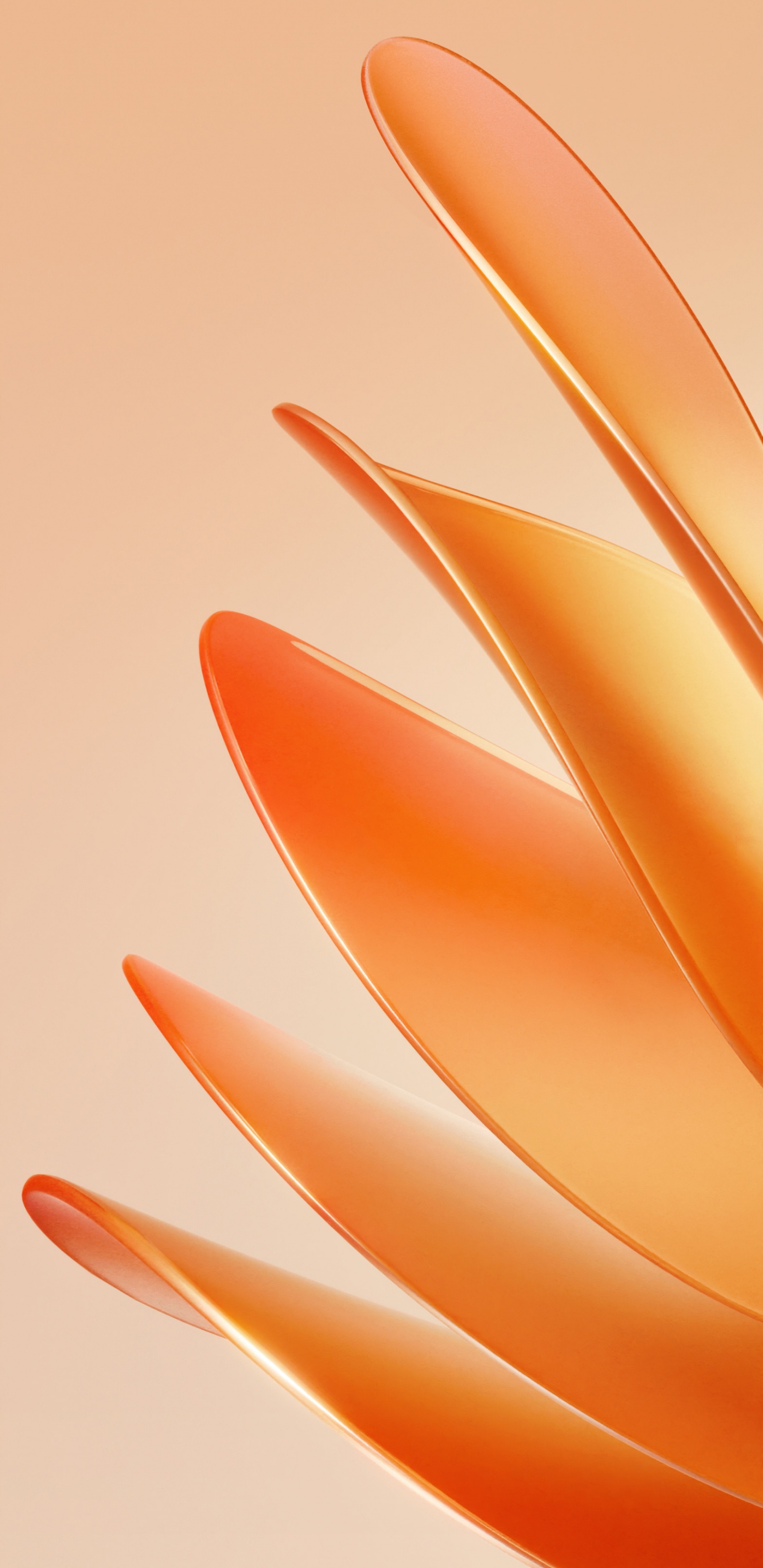 Meizu, Huawei, 智能手机, 华为p50 壁纸 1440x2960 允许