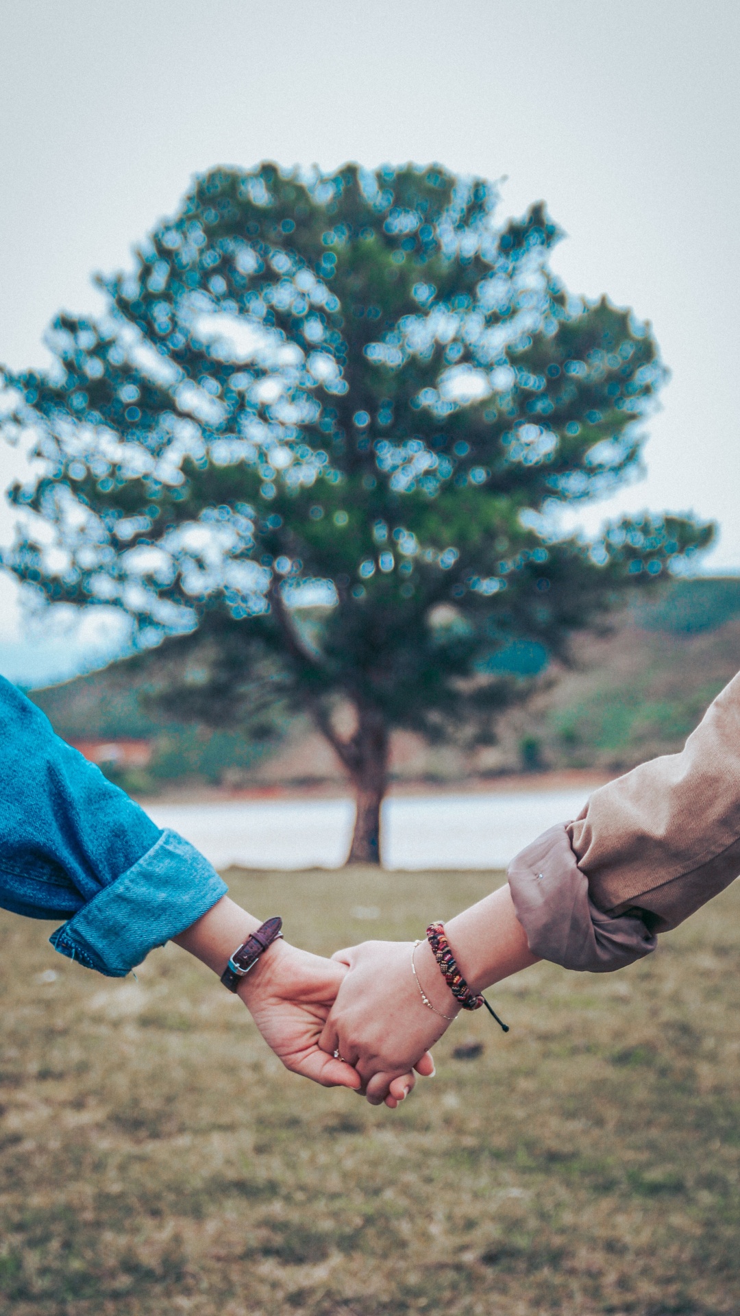 Friendship, Turquoise, Hand, Tree, Arm. Wallpaper in 1080x1920 Resolution