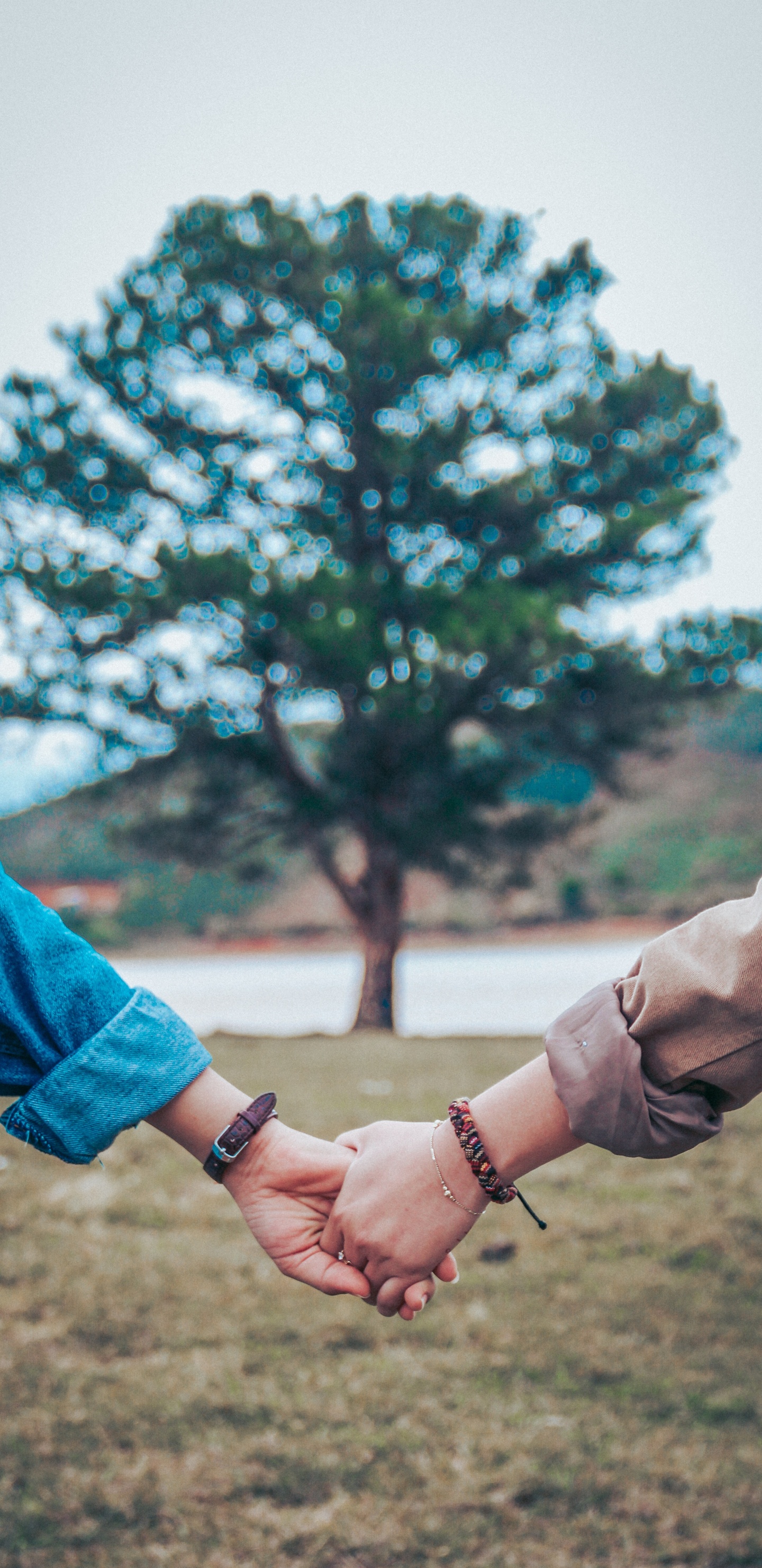 Friendship, Turquoise, Hand, Tree, Arm. Wallpaper in 1440x2960 Resolution