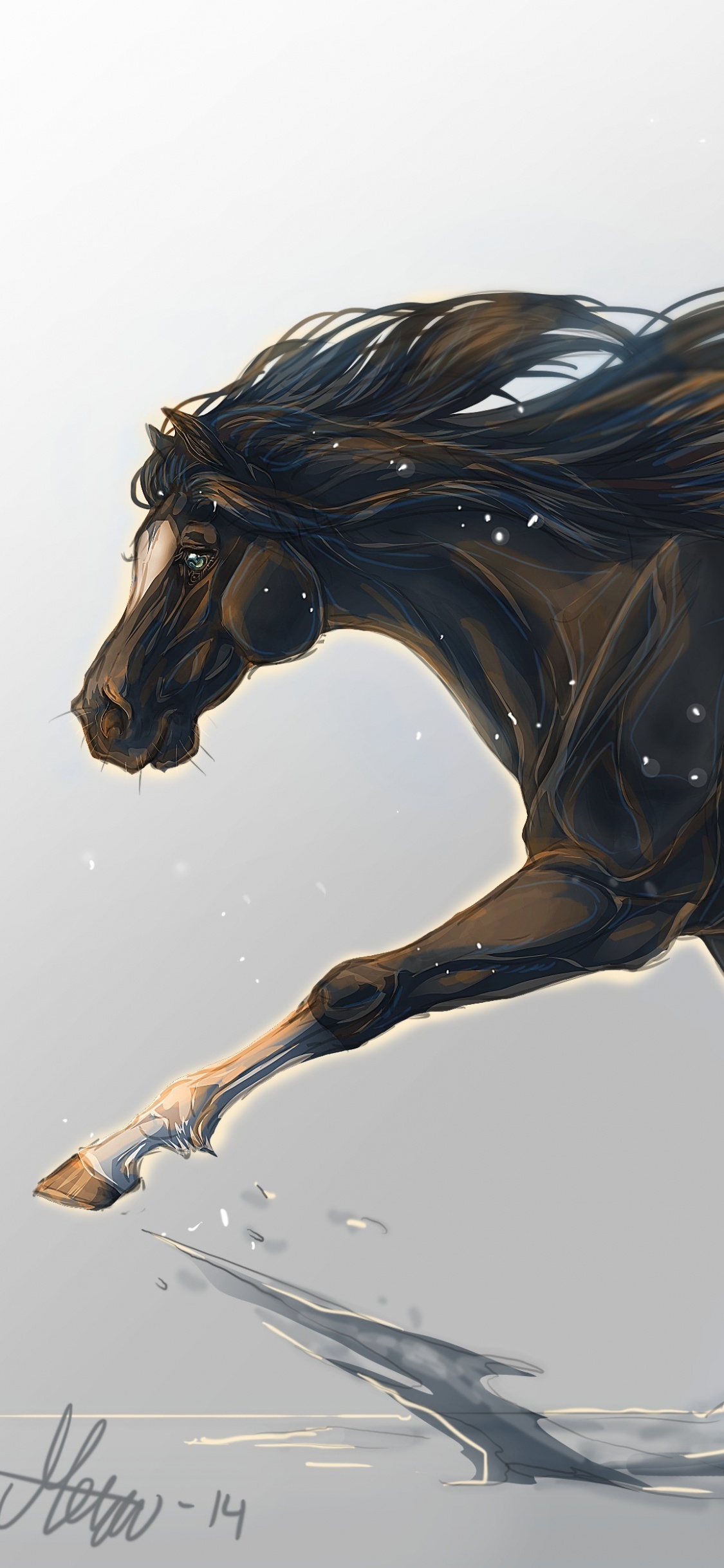 Stallion, Horse, Mane, Mustang Horse, Horse Tack. Wallpaper in 1125x2436 Resolution