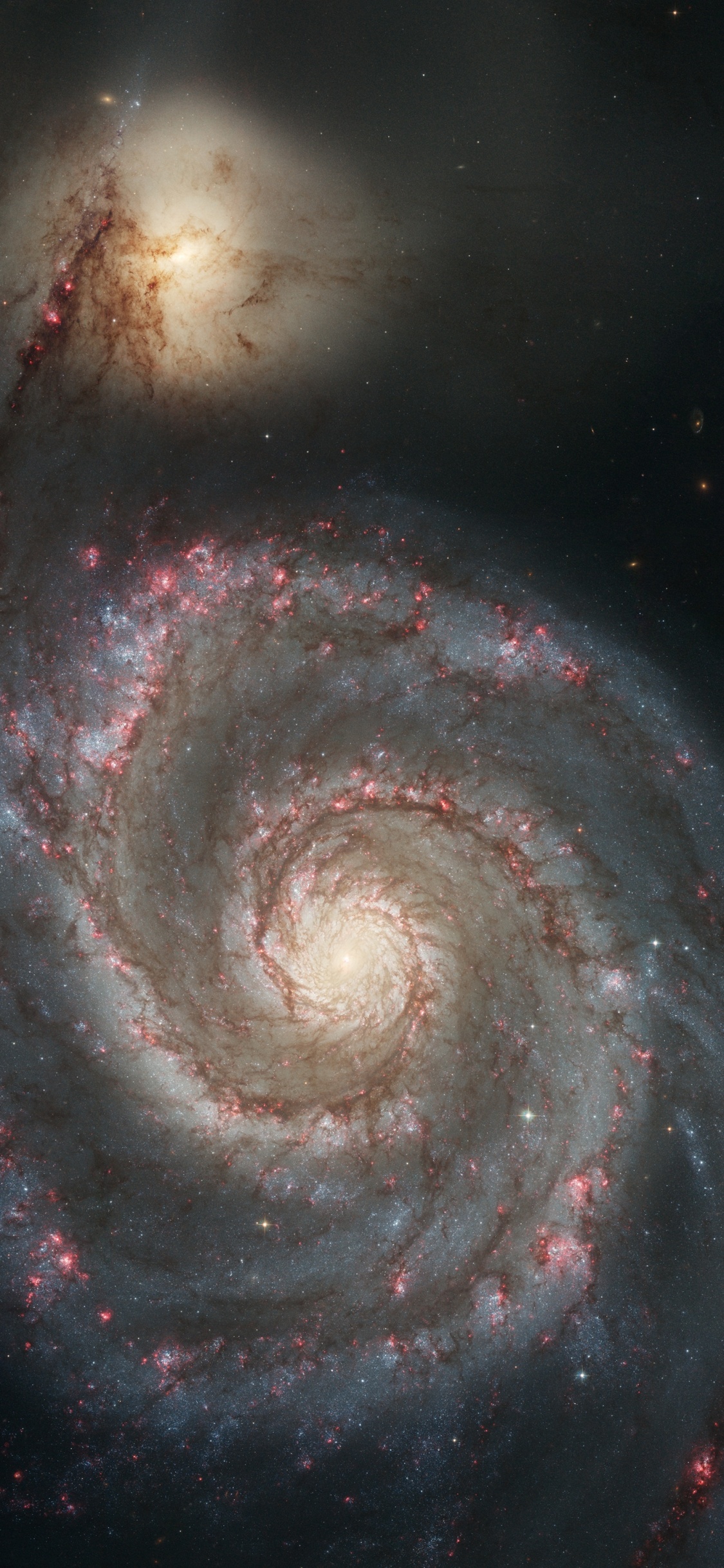 Hubble M51, Galaxia, Galaxia de Hidromasaje, la Astronomía, Galaxia Espiral. Wallpaper in 1125x2436 Resolution