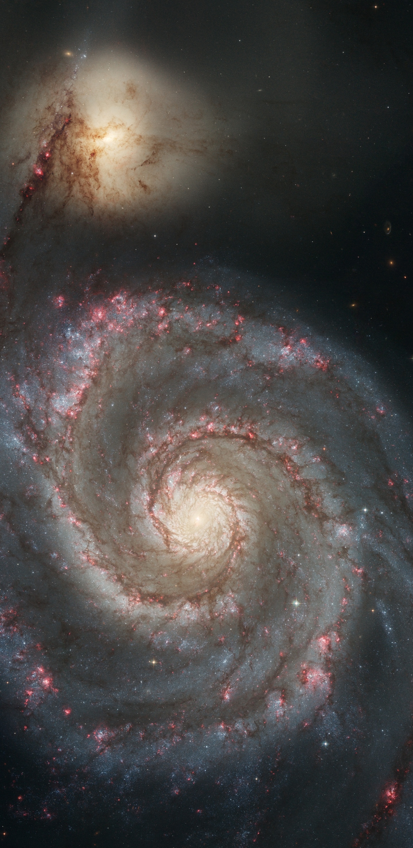 Hubble M51, Galaxia, Galaxia de Hidromasaje, la Astronomía, Galaxia Espiral. Wallpaper in 1440x2960 Resolution