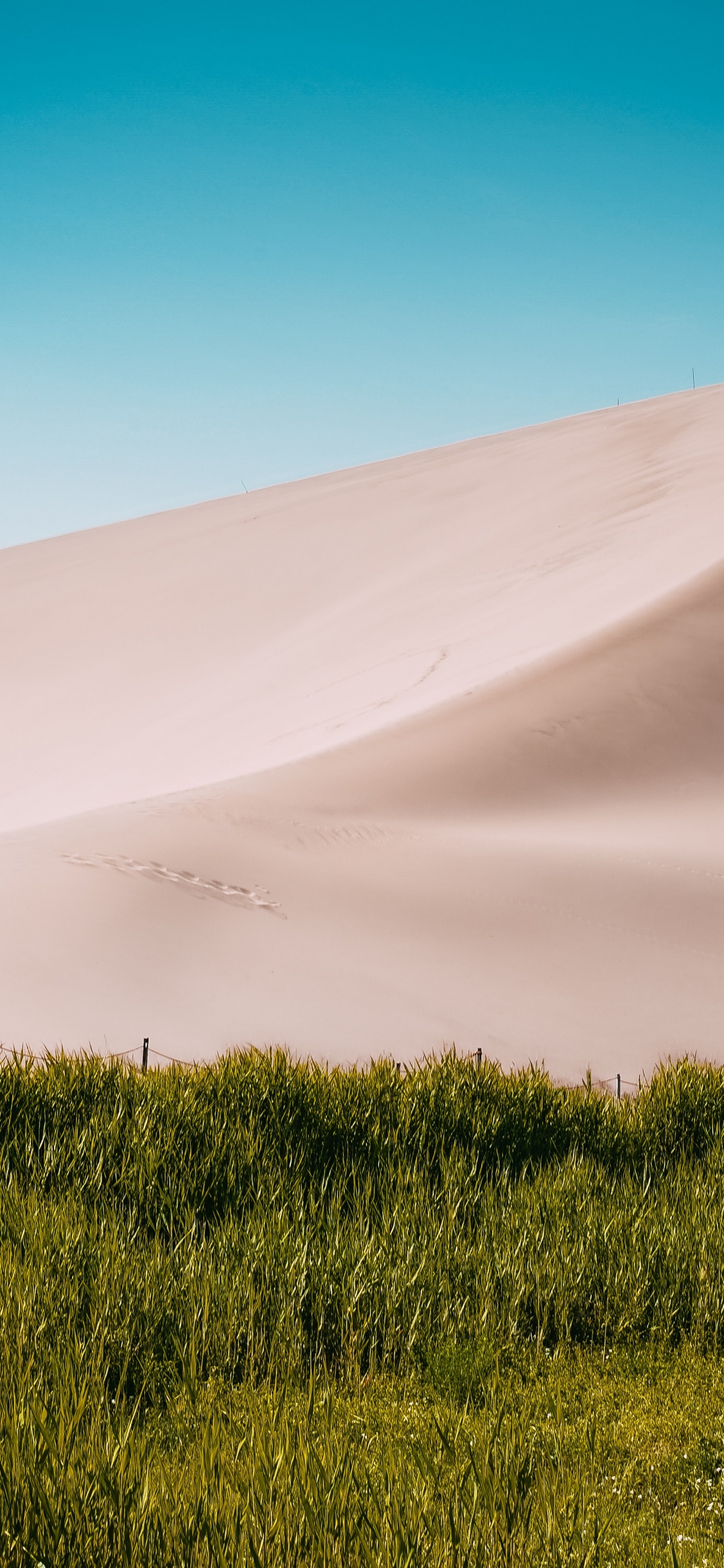 Desert, Macaron, Landscape, Nature, Dune. Wallpaper in 1125x2436 Resolution