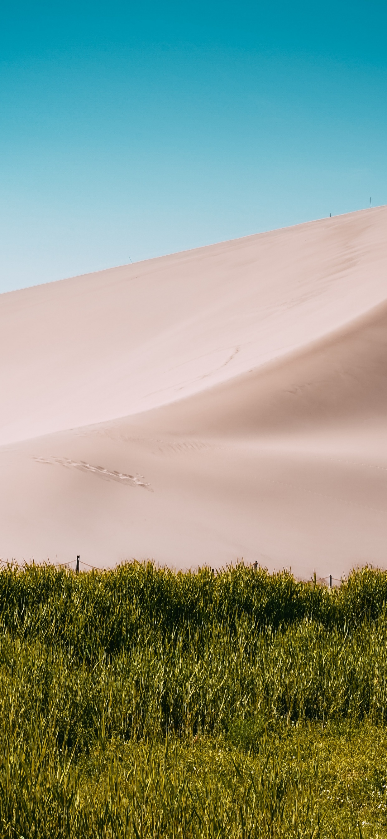 Desert, Macaron, Landscape, Nature, Dune. Wallpaper in 1242x2688 Resolution