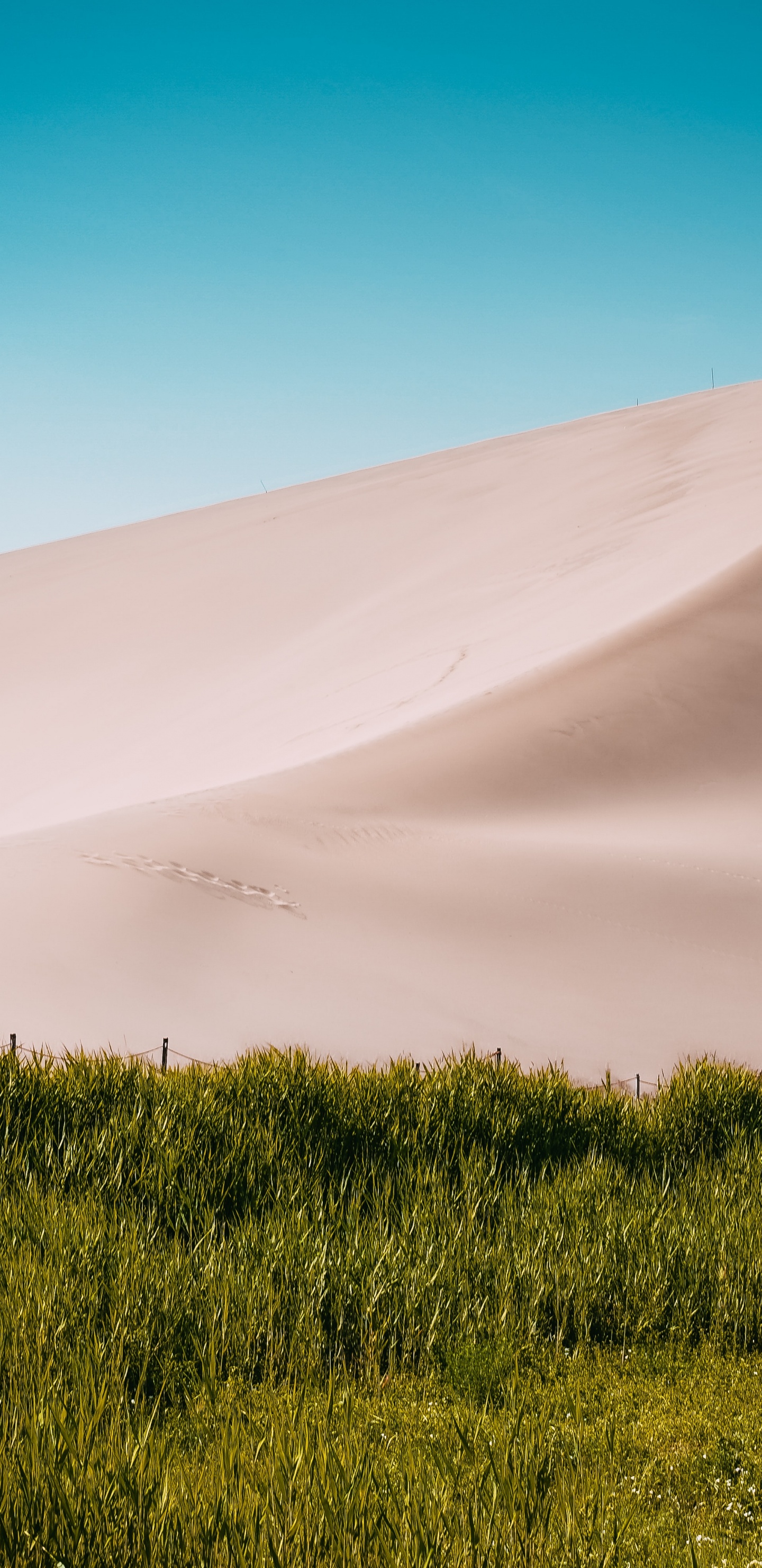 Desert, Macaron, Landscape, Nature, Dune. Wallpaper in 1440x2960 Resolution