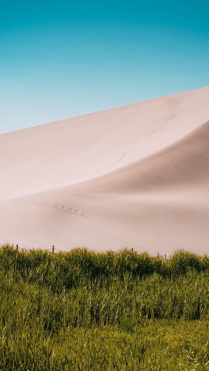 Desert, Macaron, Landscape, Nature, Dune. Wallpaper in 720x1280 Resolution