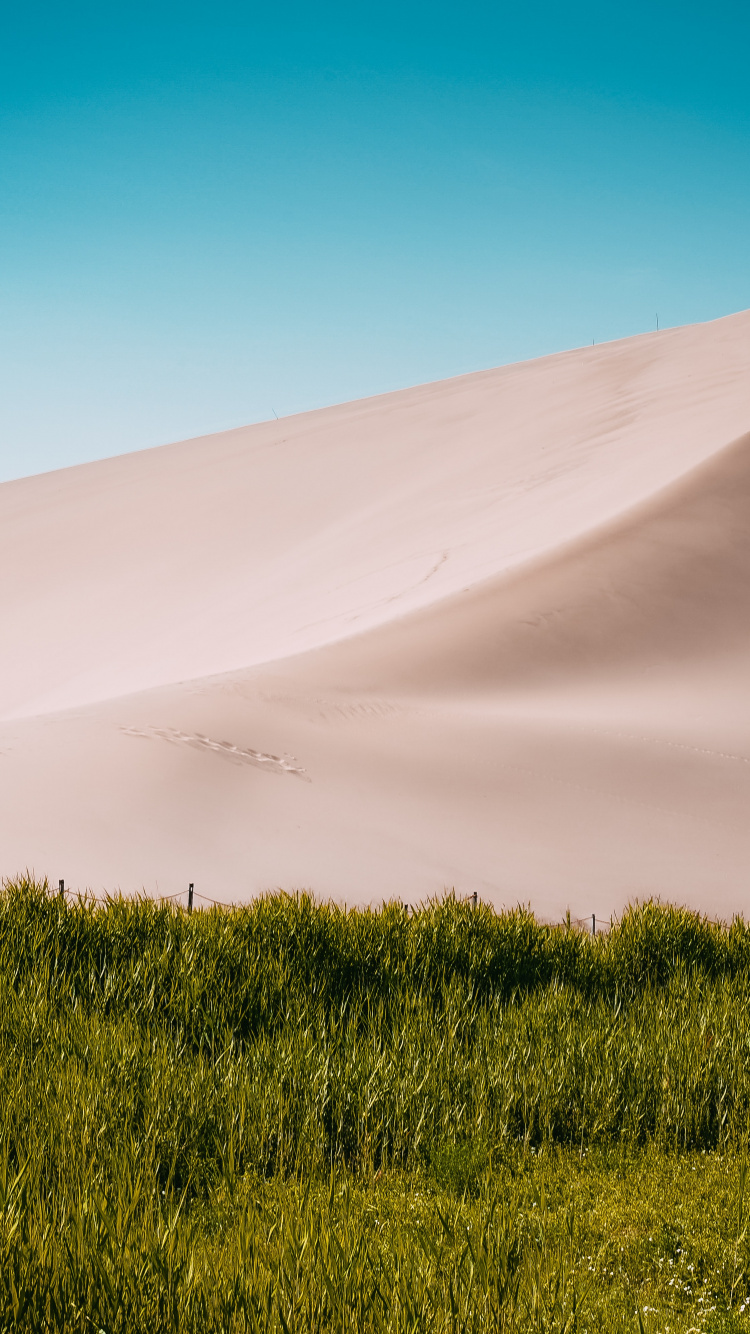 Desert, Macaron, Landscape, Nature, Dune. Wallpaper in 750x1334 Resolution