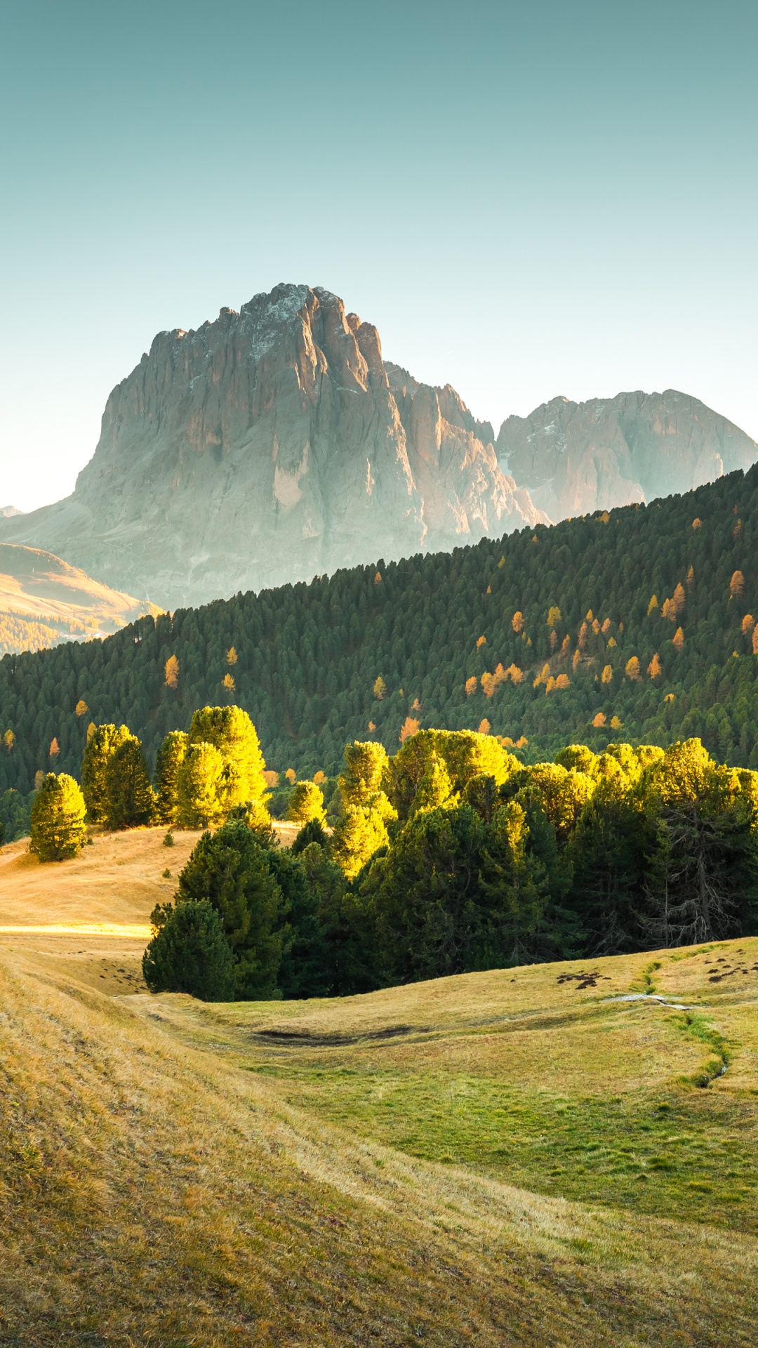 Bergstation Europa, Dolomiten, Hill, Bergstation, Natur. Wallpaper in 1080x1920 Resolution