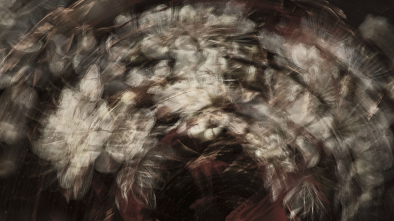 Textile Floral Marron et Blanc. Wallpaper in 1366x768 Resolution