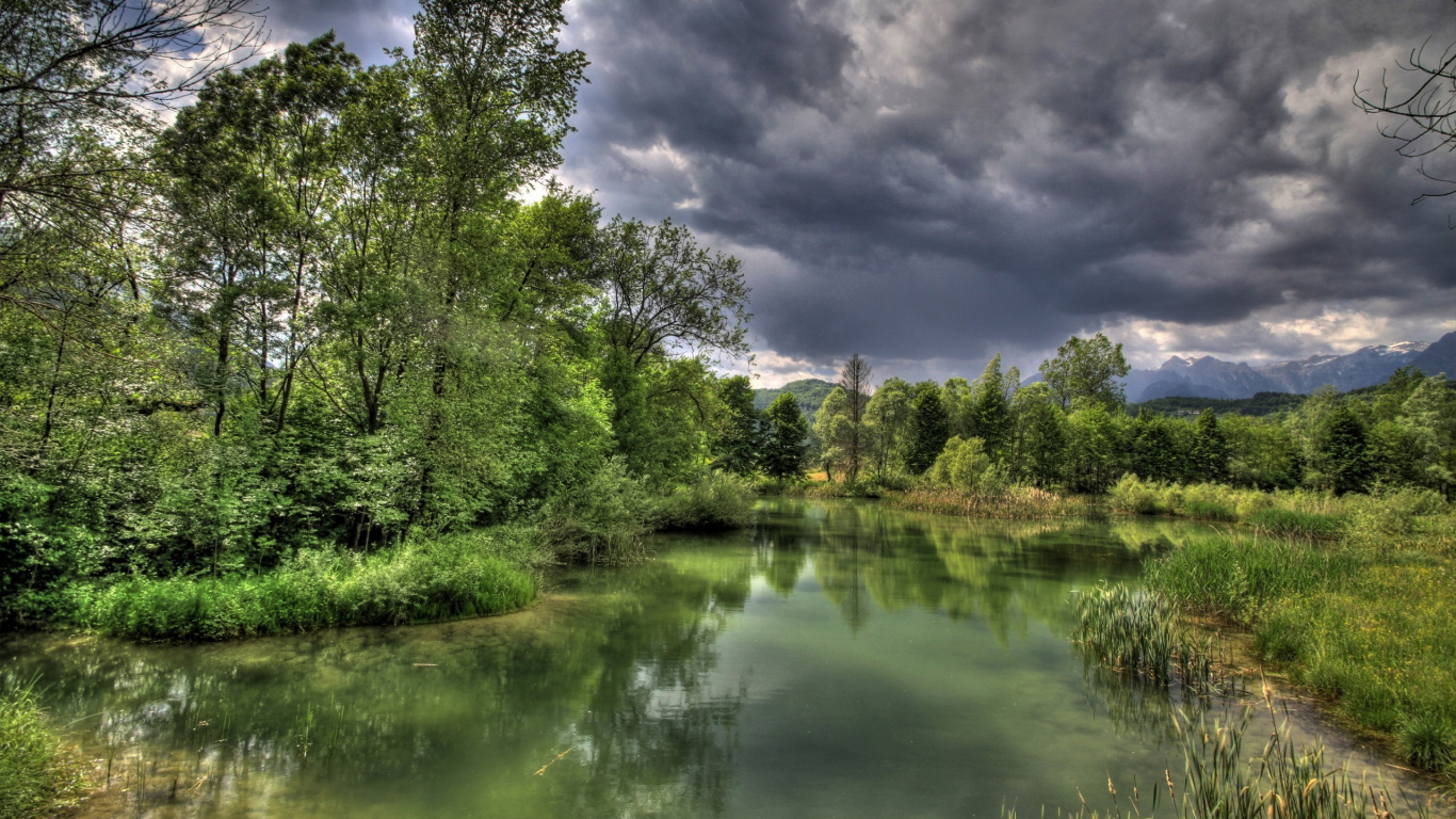 Árboles Verdes Junto al Río Bajo un Cielo Nublado Durante el Día. Wallpaper in 1366x768 Resolution