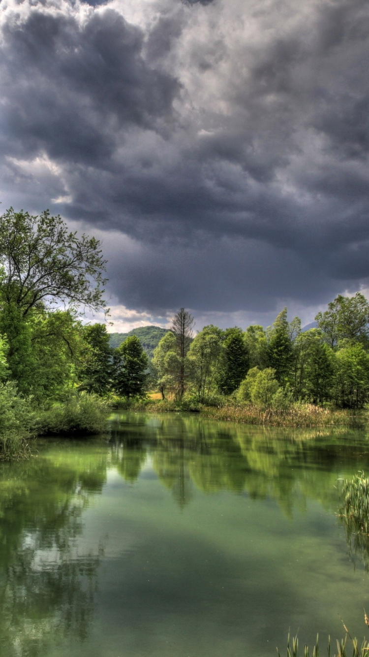 Green Trees Beside River Under Cloudy Sky During Daytime. Wallpaper in 750x1334 Resolution