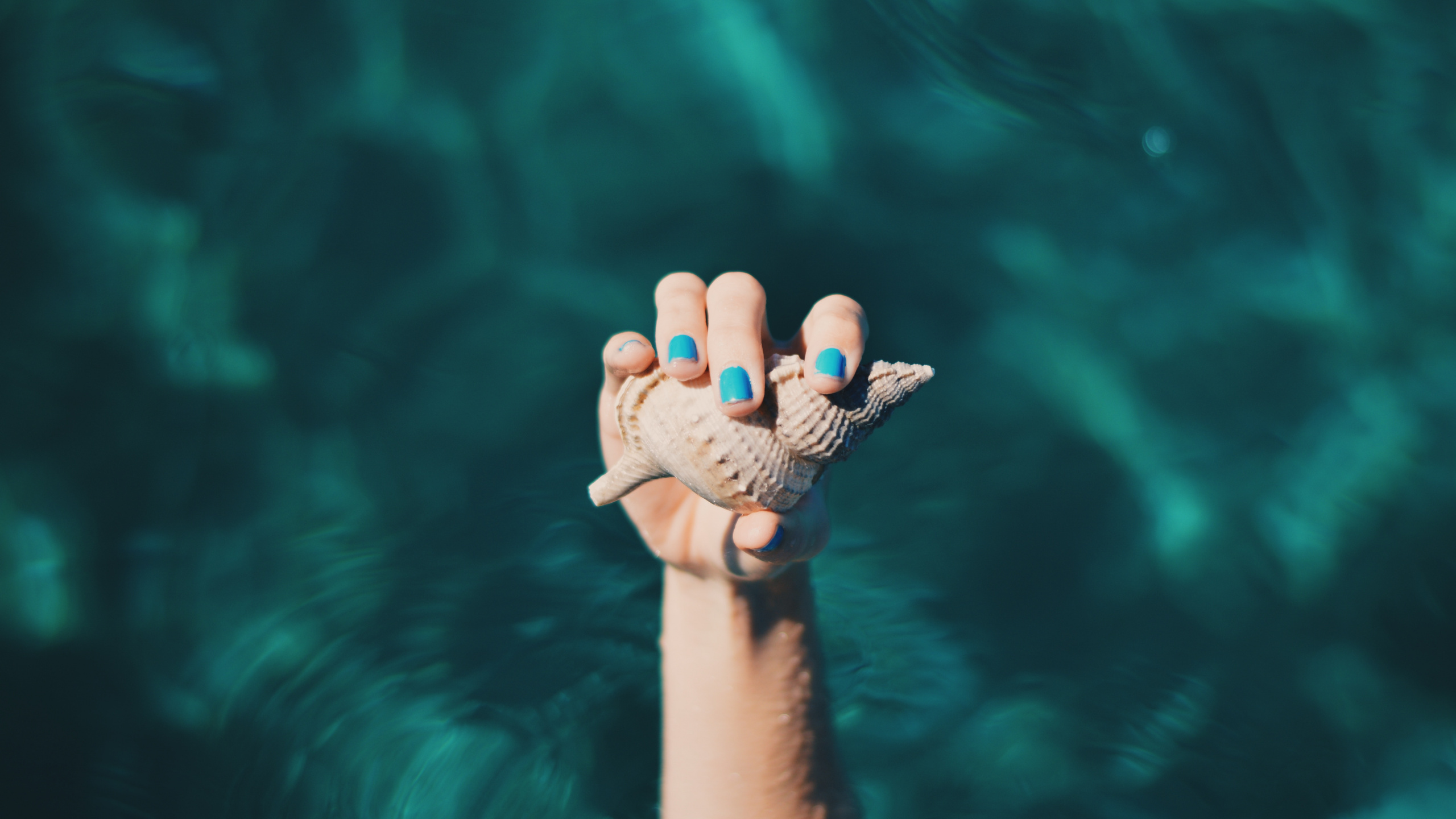 Pieds de Personnes Avec du Vernis à Ongles à Pois Blancs et Noirs. Wallpaper in 2560x1440 Resolution