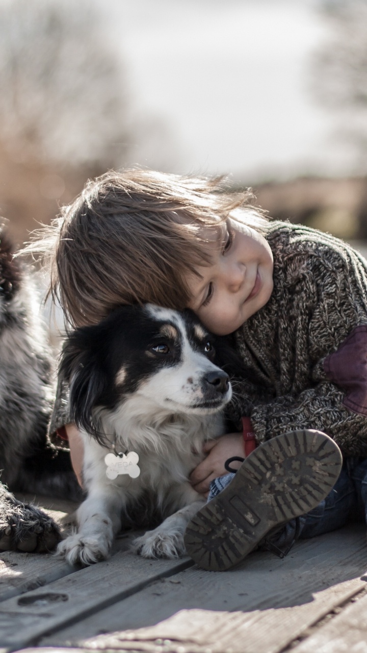 Chien, Race de Chien, Communication, Animal, Enfant. Wallpaper in 720x1280 Resolution
