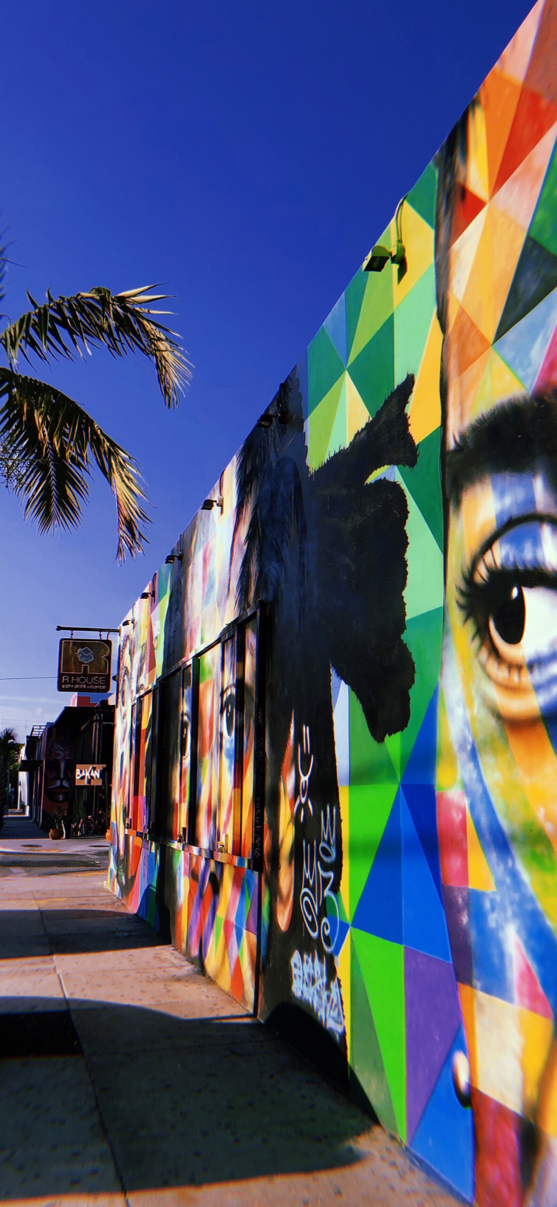 Miami, Baum, Tourismus, Wissenschaft, Biologie. Wallpaper in 1125x2436 Resolution