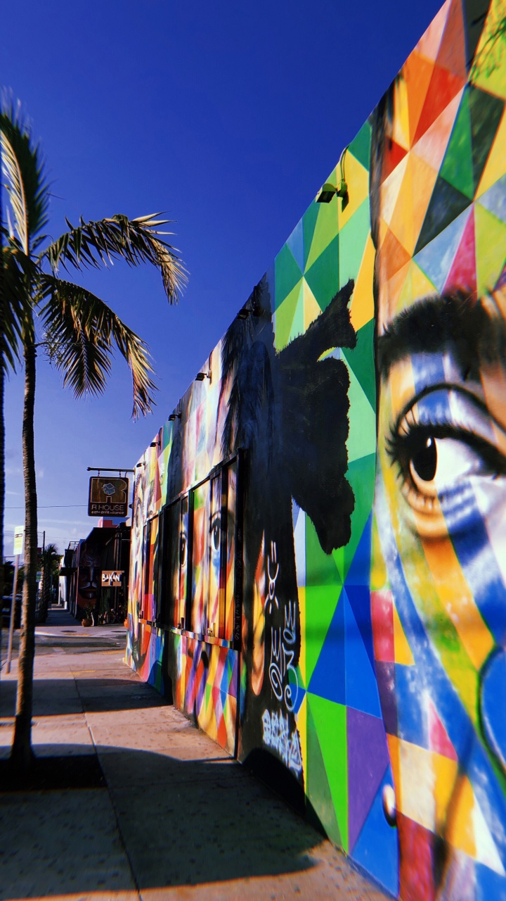 Miami, Baum, Tourismus, Wissenschaft, Biologie. Wallpaper in 720x1280 Resolution