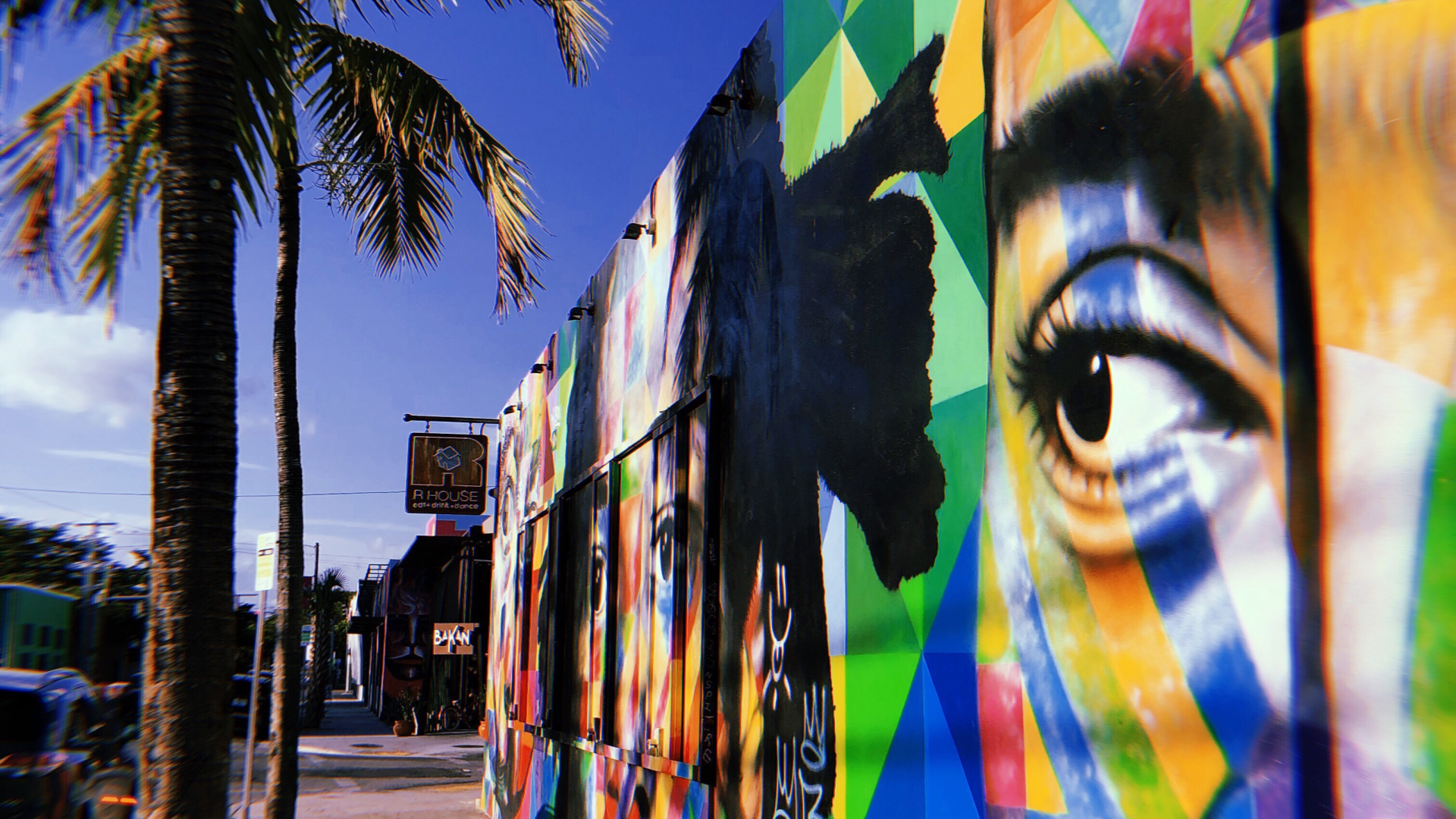 Miami, Turismo, Ciencia, Biología, Grafiti. Wallpaper in 1920x1080 Resolution