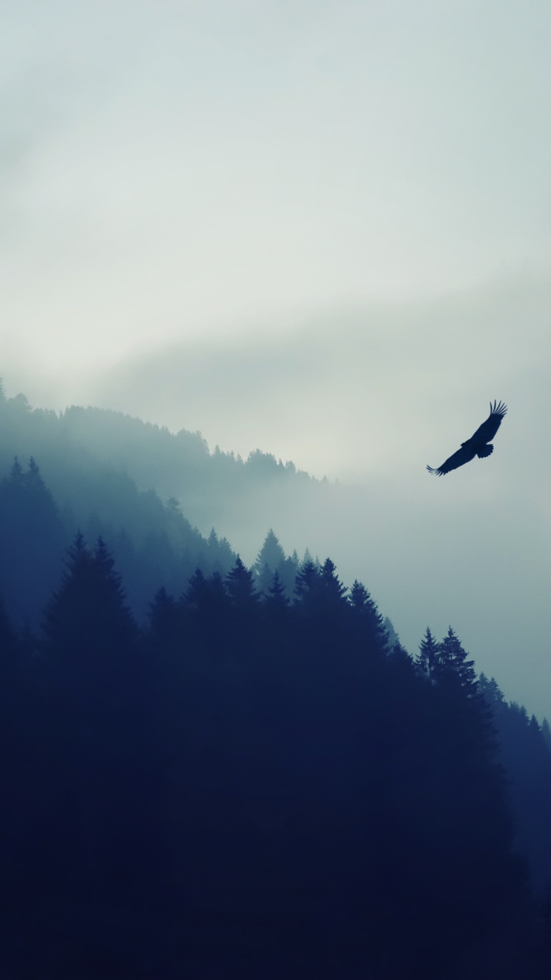 Tablet, Cloud, Atmosphäre, Vogel, Piste. Wallpaper in 1080x1920 Resolution