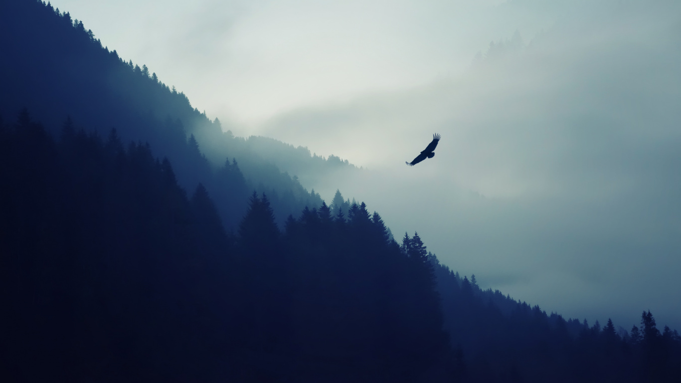 Tablet, Cloud, Atmosphere, Bird, Mountain. Wallpaper in 1366x768 Resolution