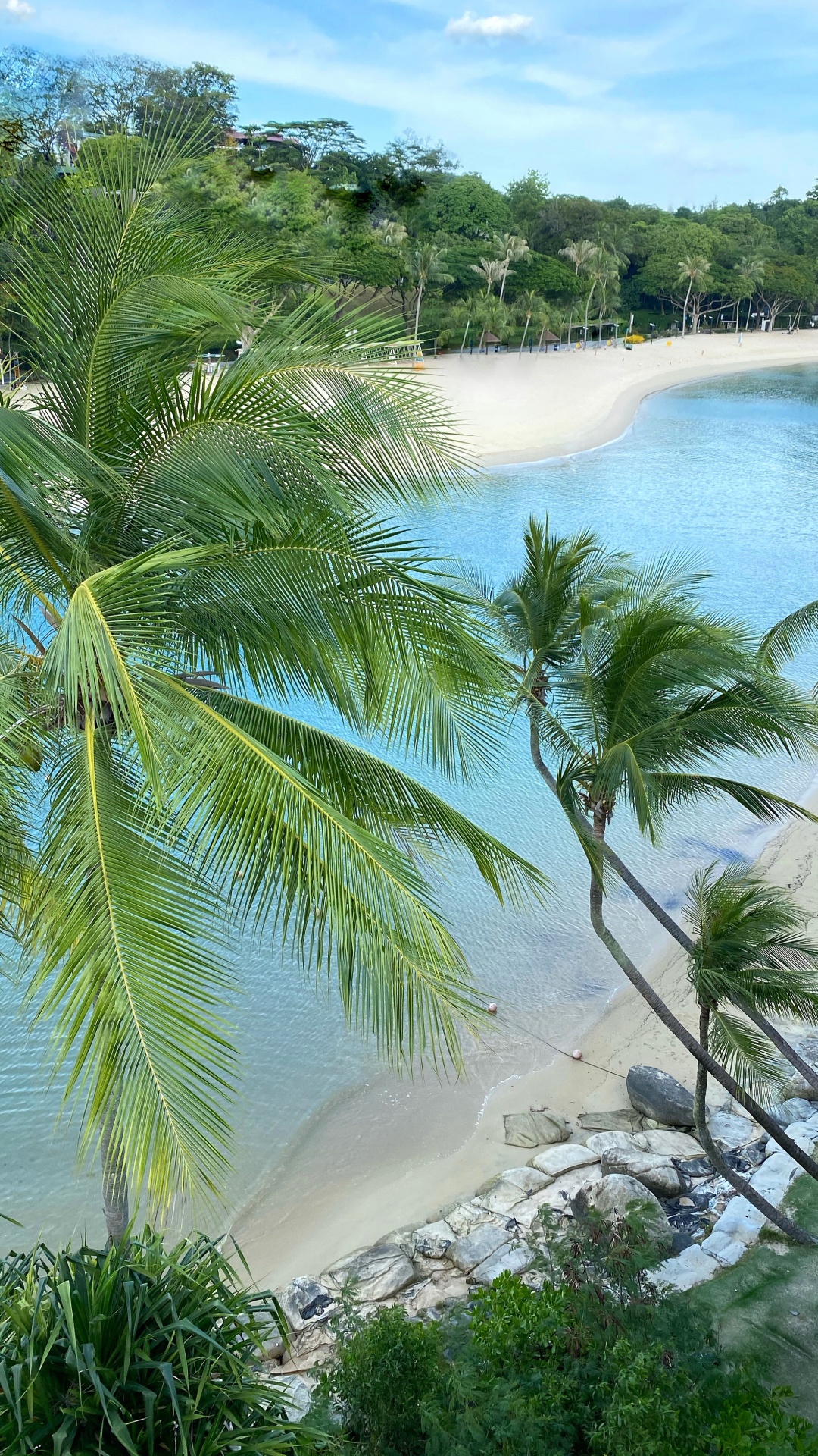 Vegetation, Palm Trees, Water, Ecosystem, Tourism. Wallpaper in 1080x1920 Resolution