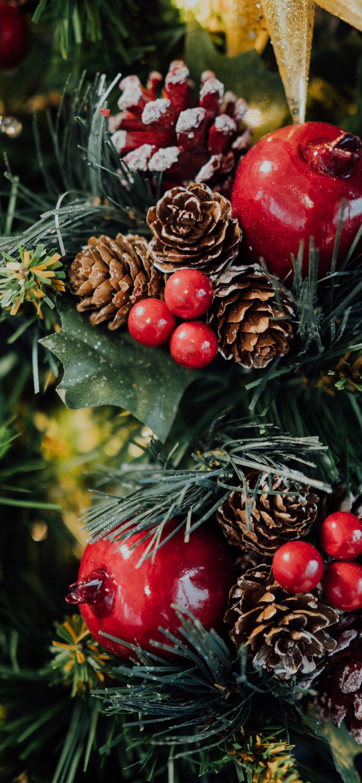 Fruits Rouges et Verts Sur Feuilles Vertes. Wallpaper in 1242x2688 Resolution