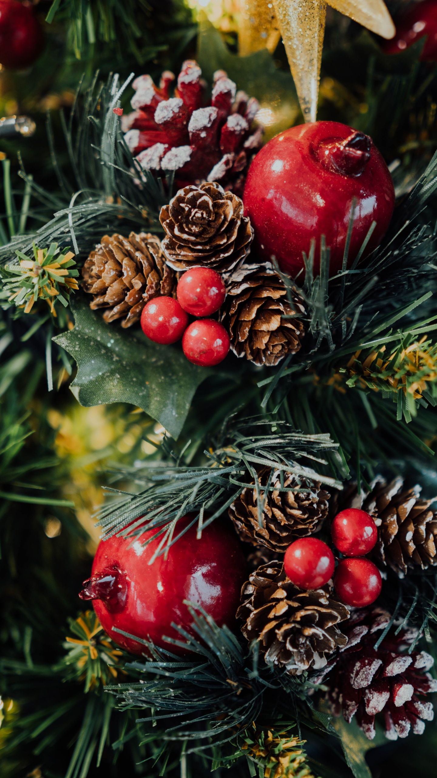 Fruits Rouges et Verts Sur Feuilles Vertes. Wallpaper in 1440x2560 Resolution