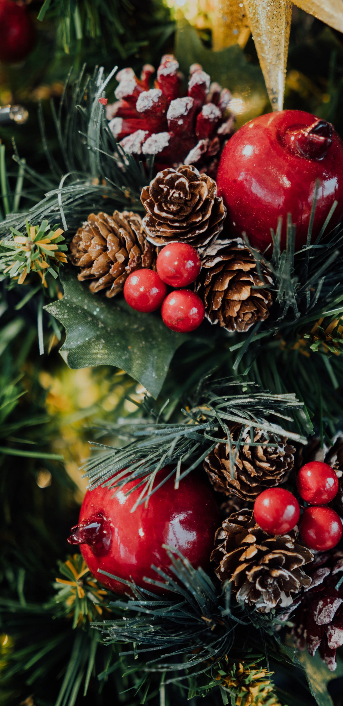 Fruits Rouges et Verts Sur Feuilles Vertes. Wallpaper in 1440x2960 Resolution