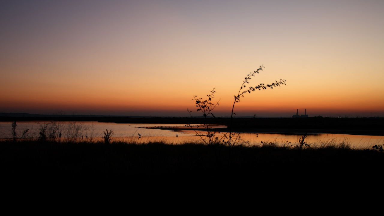 Silhouette D'herbe Pendant le Coucher du Soleil. Wallpaper in 1280x720 Resolution
