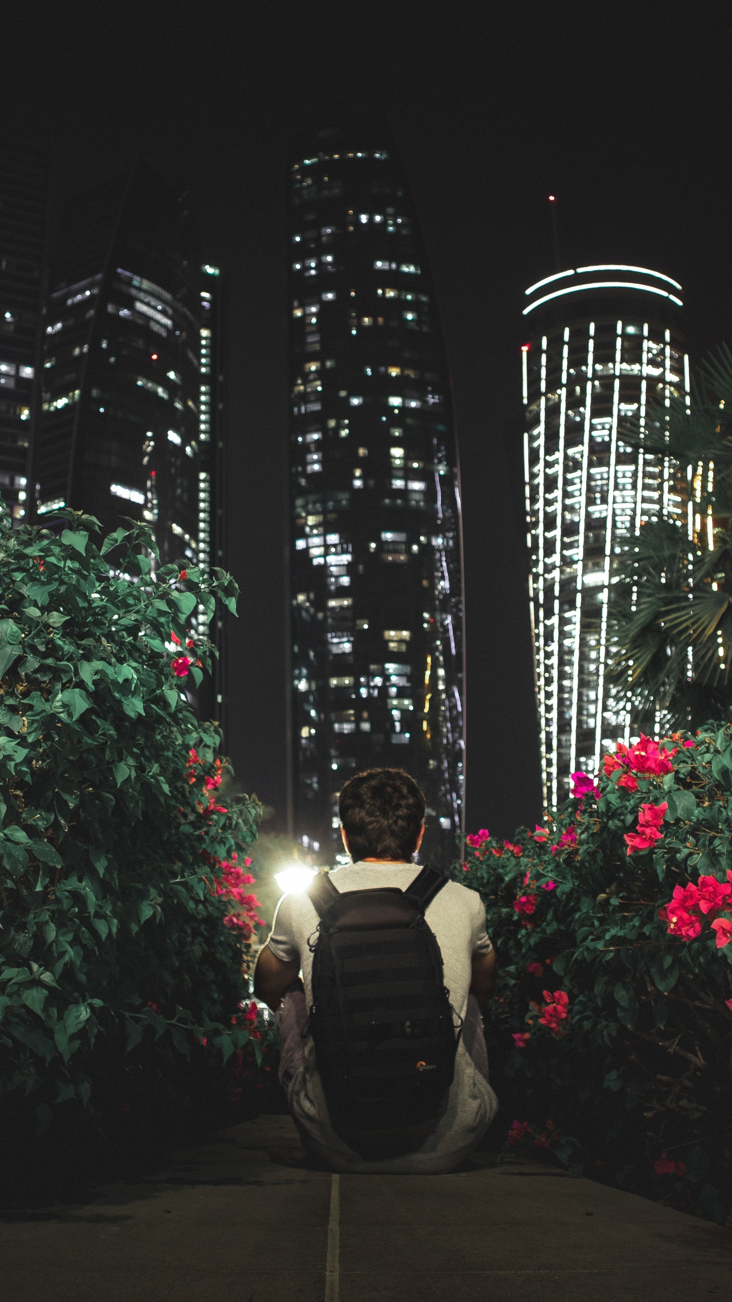 建筑, 午夜, 风景照, 光, 路灯 壁纸 1440x2560 允许