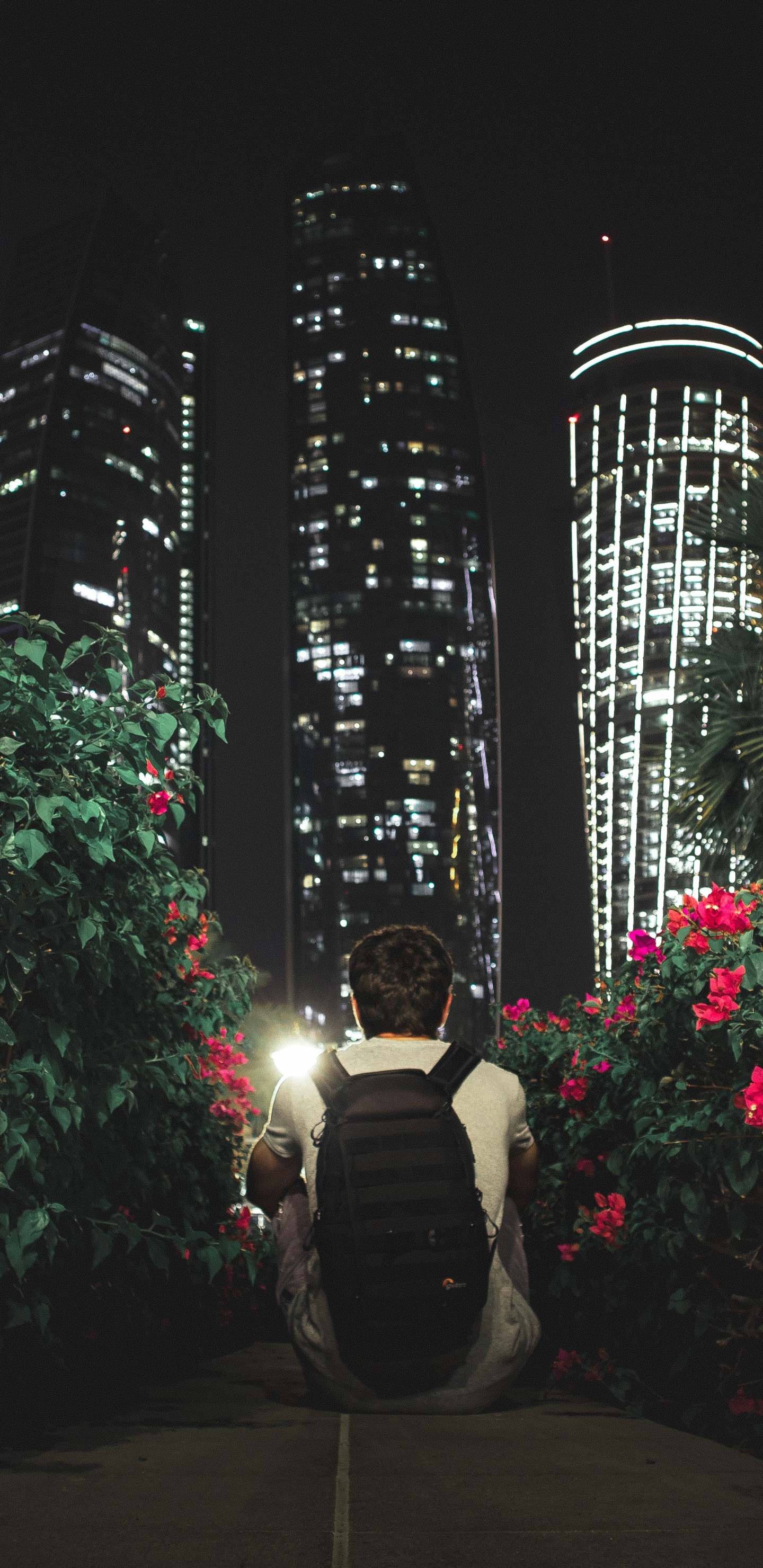 建筑, 午夜, 风景照, 光, 路灯 壁纸 1440x2960 允许