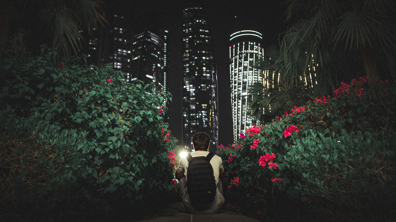 Woman in Black and White Striped Dress Sitting on Black Chair Near Green Plants During Nighttime. Wallpaper in 1280x720 Resolution