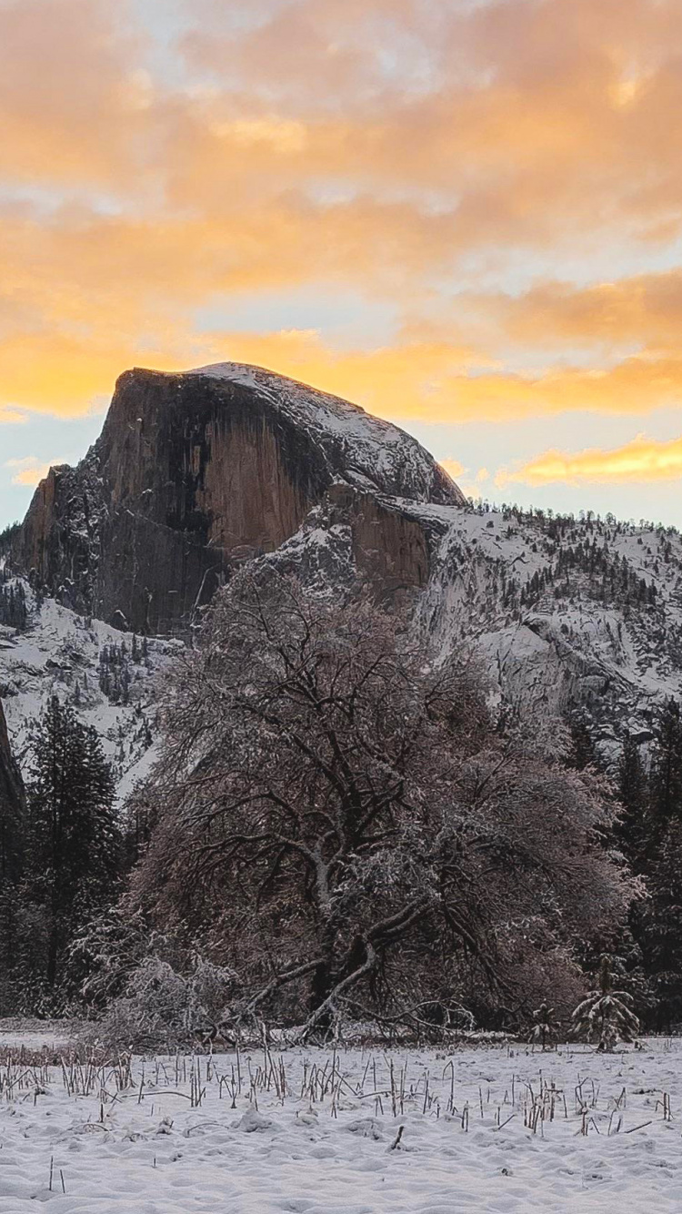 National Park, Nature, Park, Wilderness, Mountain. Wallpaper in 750x1334 Resolution