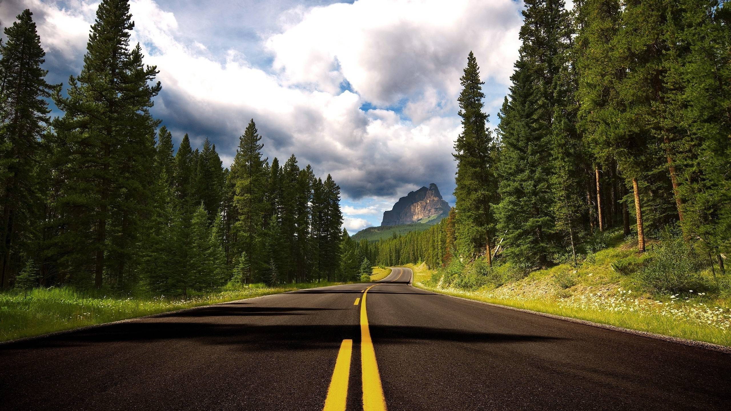 Gray Concrete Road Between Green Trees Under White Clouds and Blue Sky During Daytime. Wallpaper in 2560x1440 Resolution