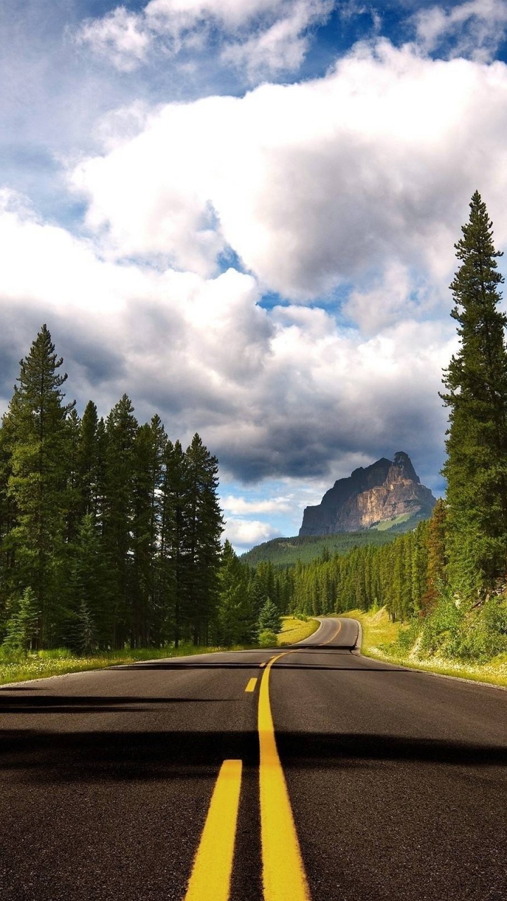 Graue Betonstraße Zwischen Grünen Bäumen Unter Weißen Wolken Und Blauem Himmel Tagsüber. Wallpaper in 720x1280 Resolution