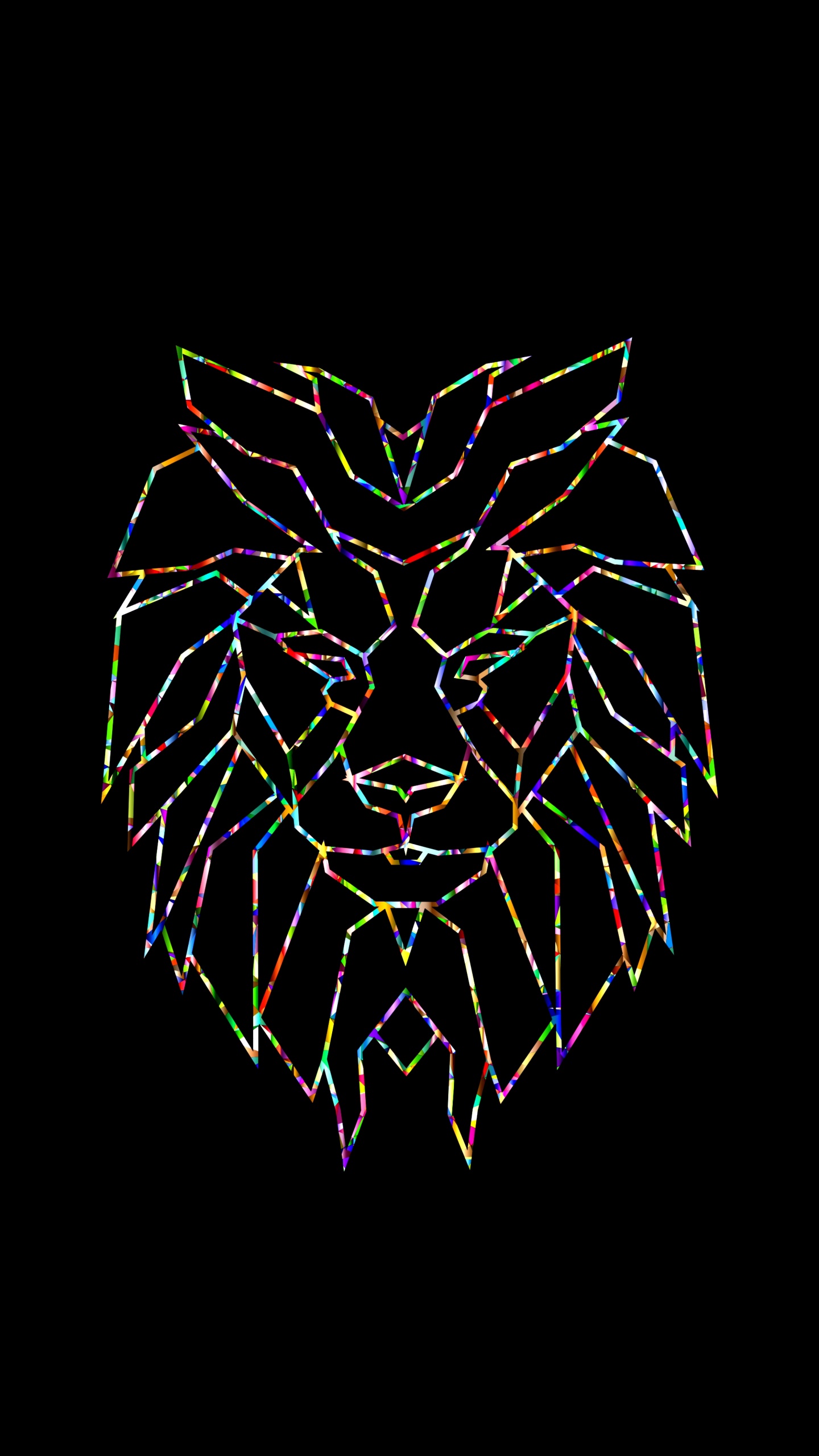 Illustration D'ailes en Noir et Blanc. Wallpaper in 1440x2560 Resolution