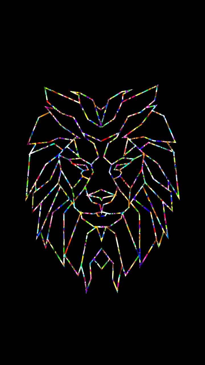 Schwarz-weiße Flügelillustration. Wallpaper in 720x1280 Resolution