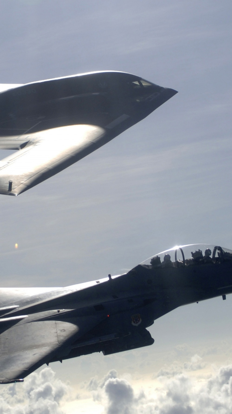 Schwarzes Düsenflugzeug in Der Luft. Wallpaper in 750x1334 Resolution