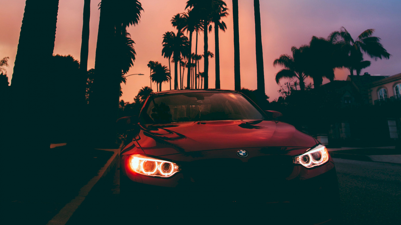 Porsche 911 Noire Garée Près Des Palmiers au Coucher du Soleil. Wallpaper in 1280x720 Resolution