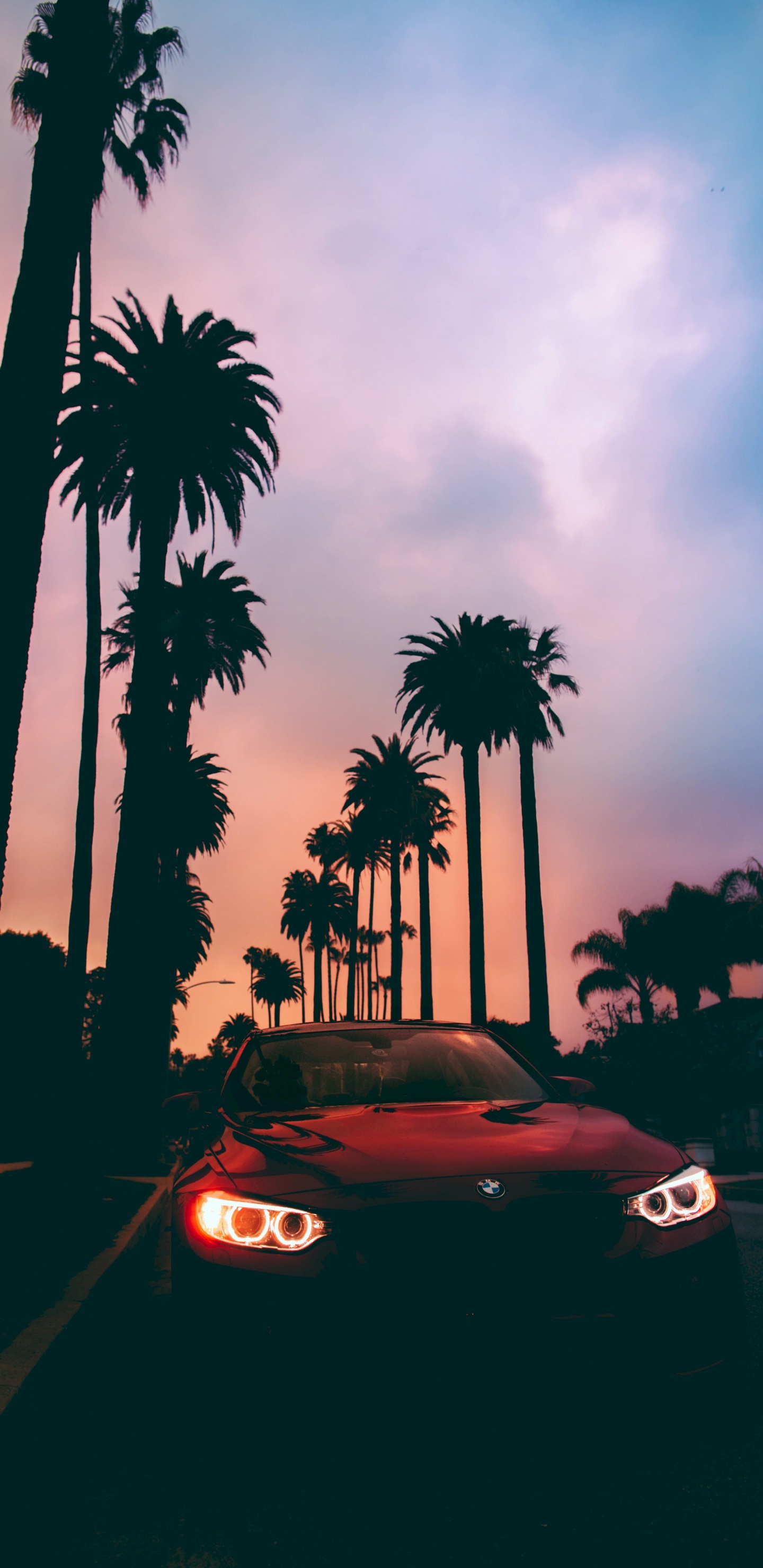 Porsche 911 Noire Garée Près Des Palmiers au Coucher du Soleil. Wallpaper in 1440x2960 Resolution