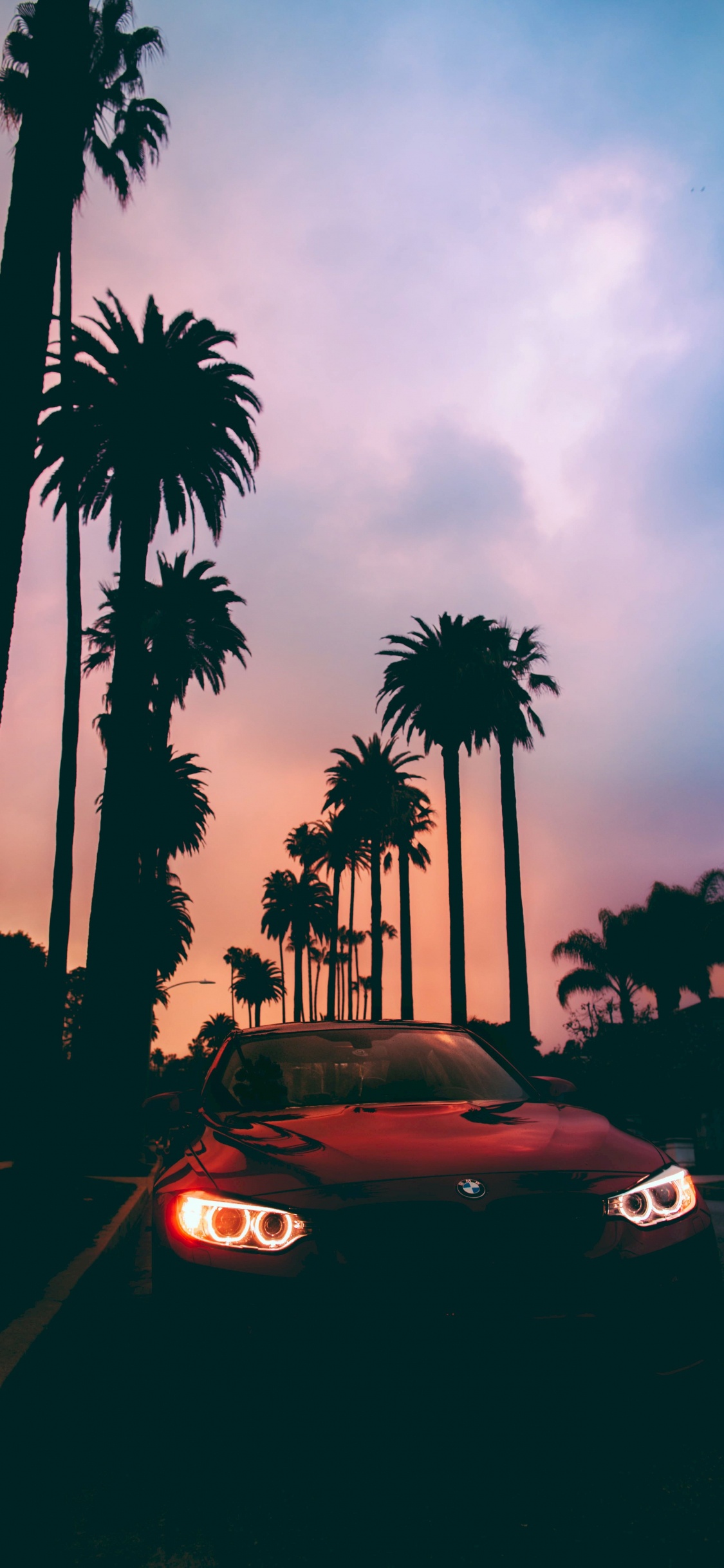 Schwarzer Porsche 911 Bei Sonnenuntergang in Der Nähe Von Palmen Geparkt. Wallpaper in 1125x2436 Resolution