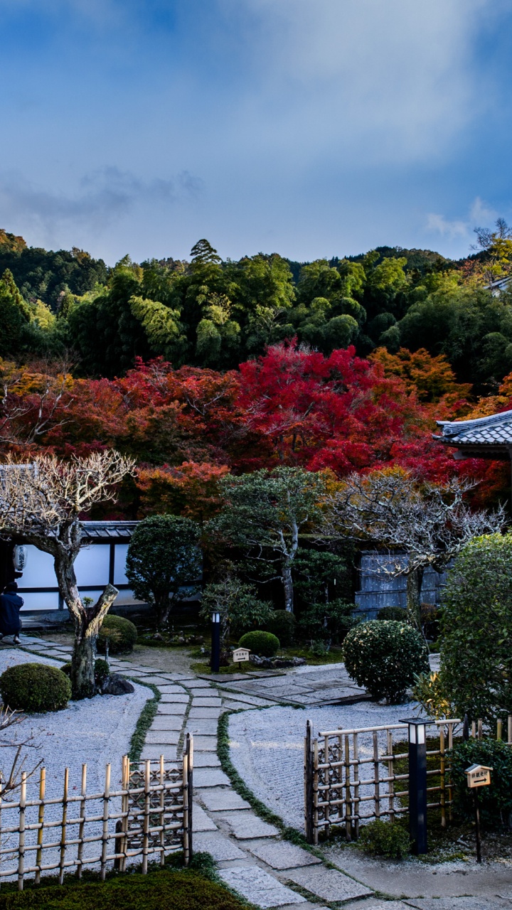 日本花园, 性质, 花园, 寺庙, 枫树 壁纸 720x1280 允许
