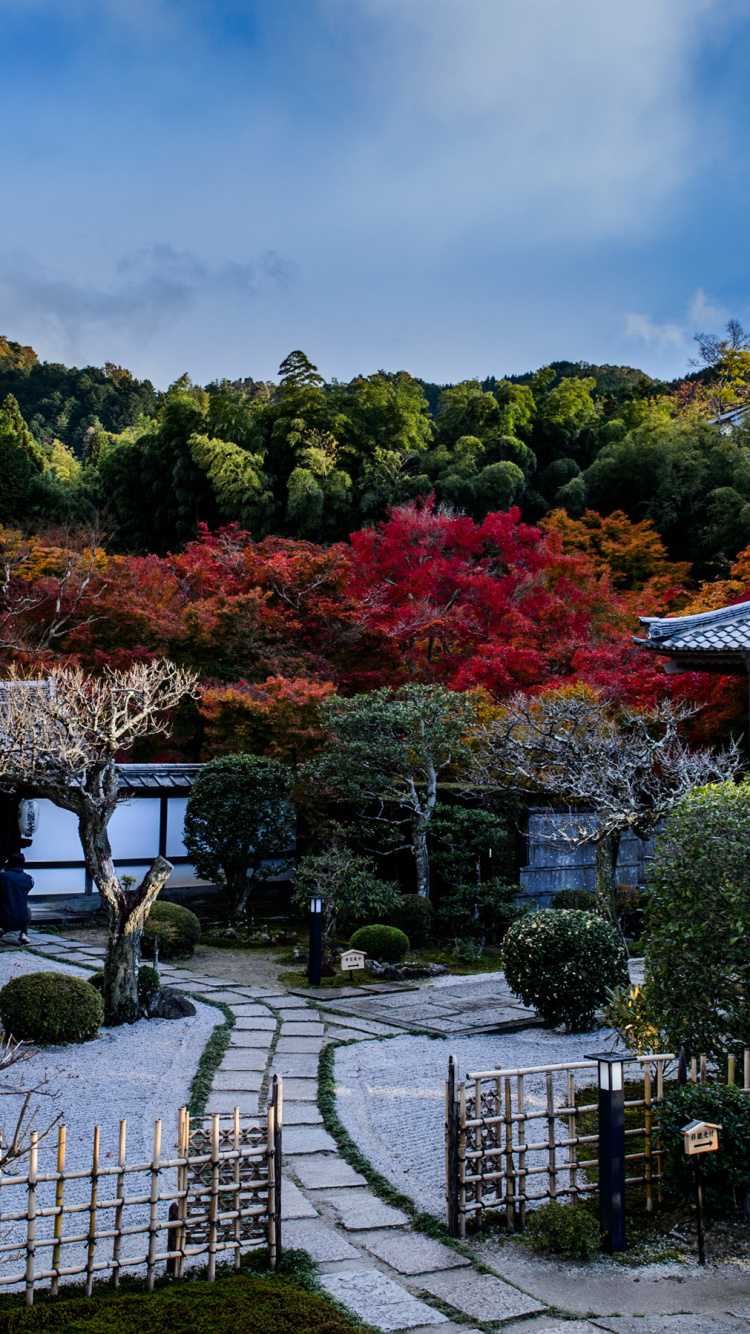 日本花园, 性质, 花园, 寺庙, 枫树 壁纸 750x1334 允许