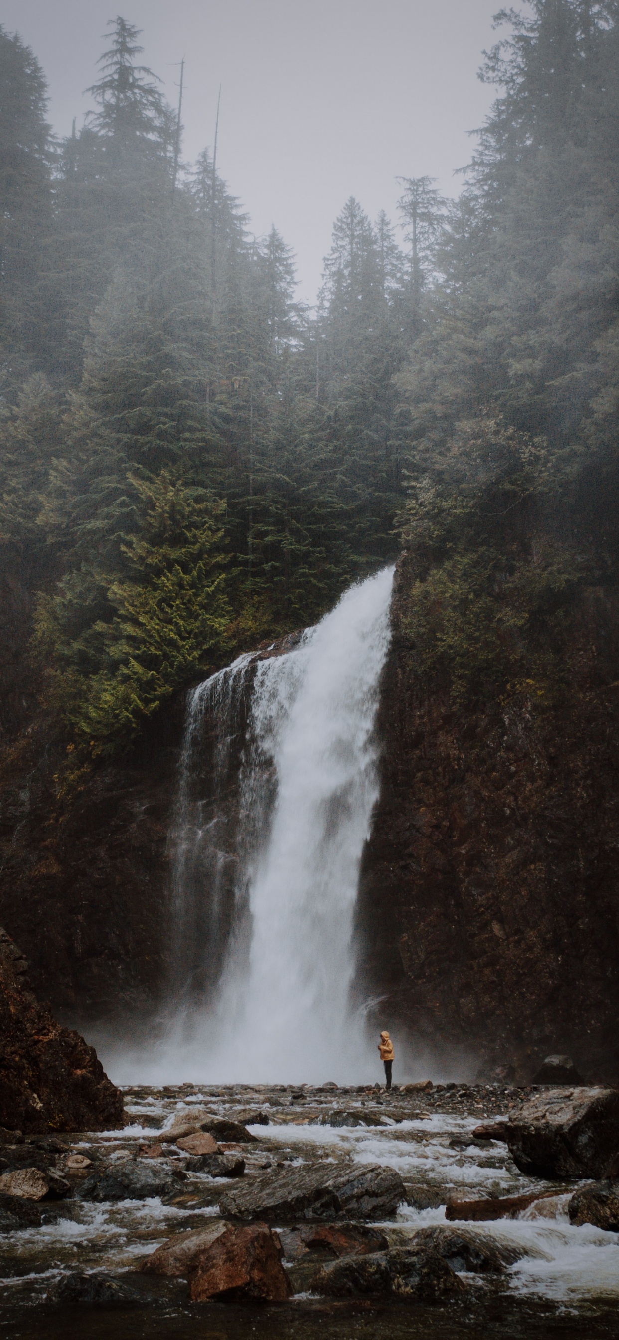 Gewässer, Wasserfall, Wasserressourcen, Natur, Wasser. Wallpaper in 1242x2688 Resolution