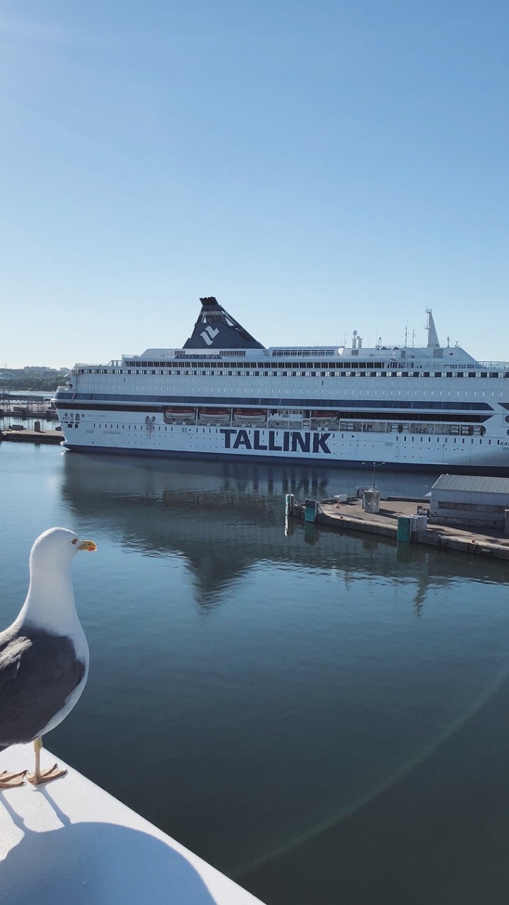 Turku Airport, Ferry, Water Transportation, Water, Motor Ship. Wallpaper in 720x1280 Resolution
